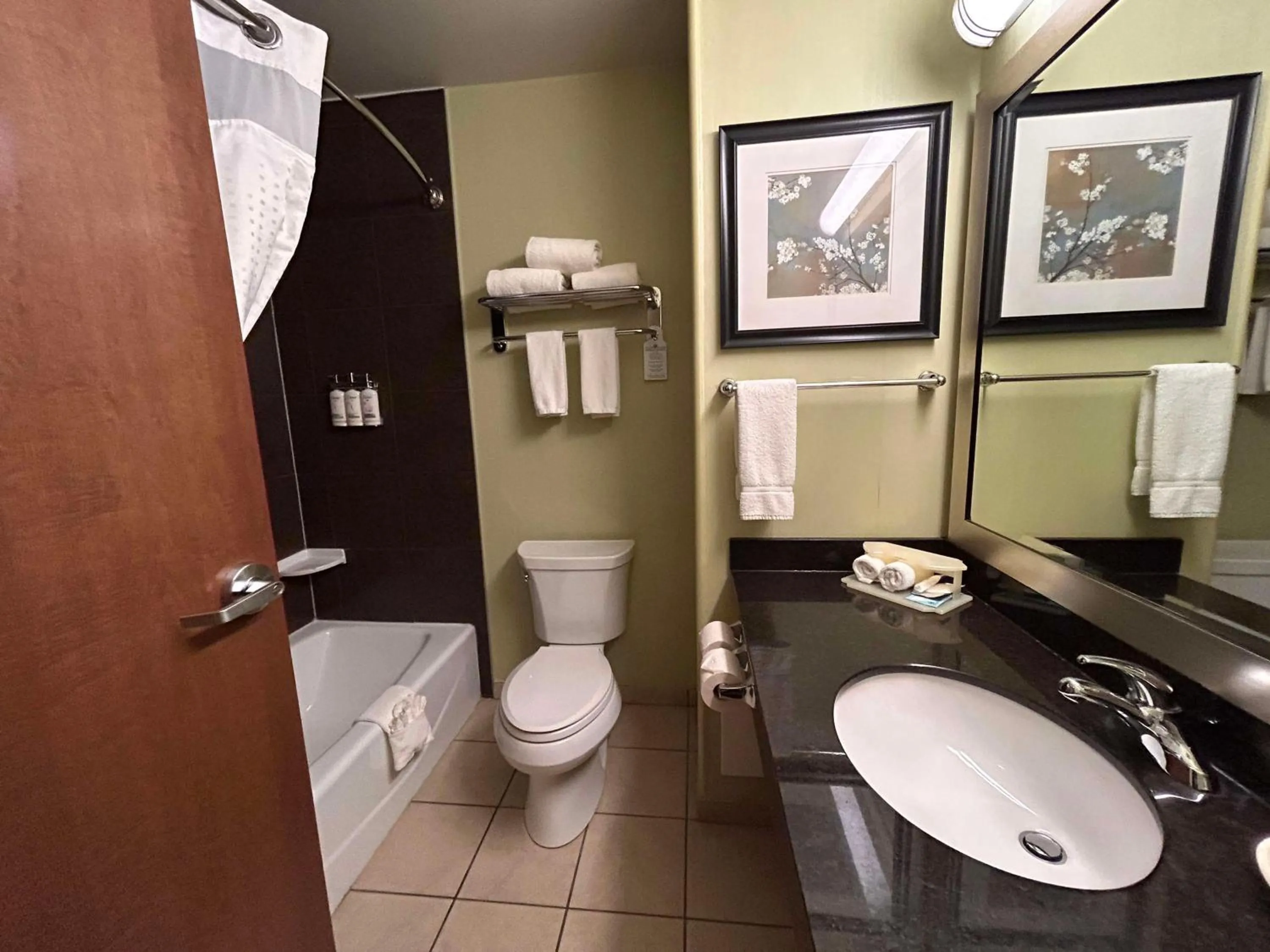 Bathroom in Holiday Inn Express and Suites Dawson Creek, an IHG Hotel