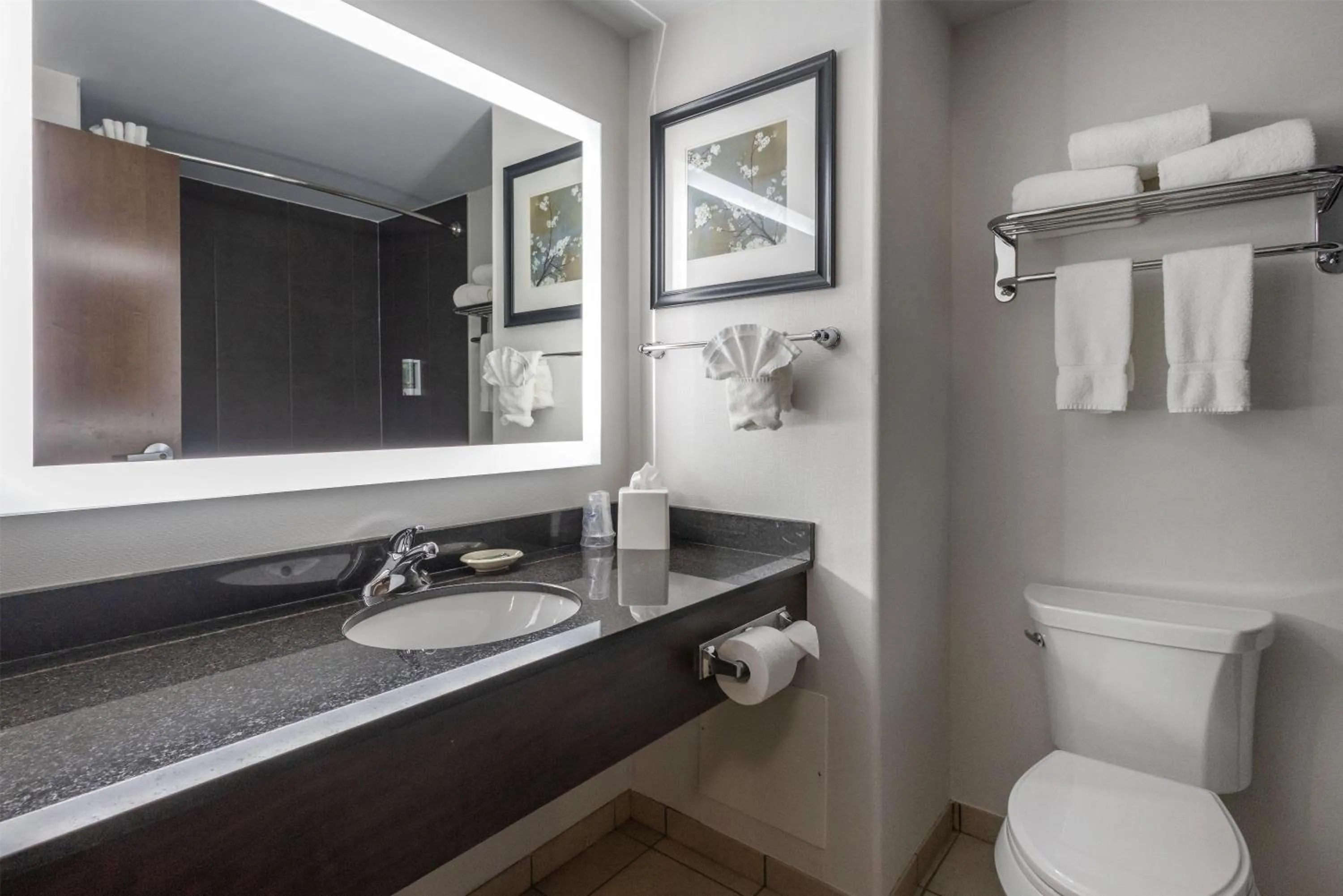 Bathroom in Best Western Dawson Creek