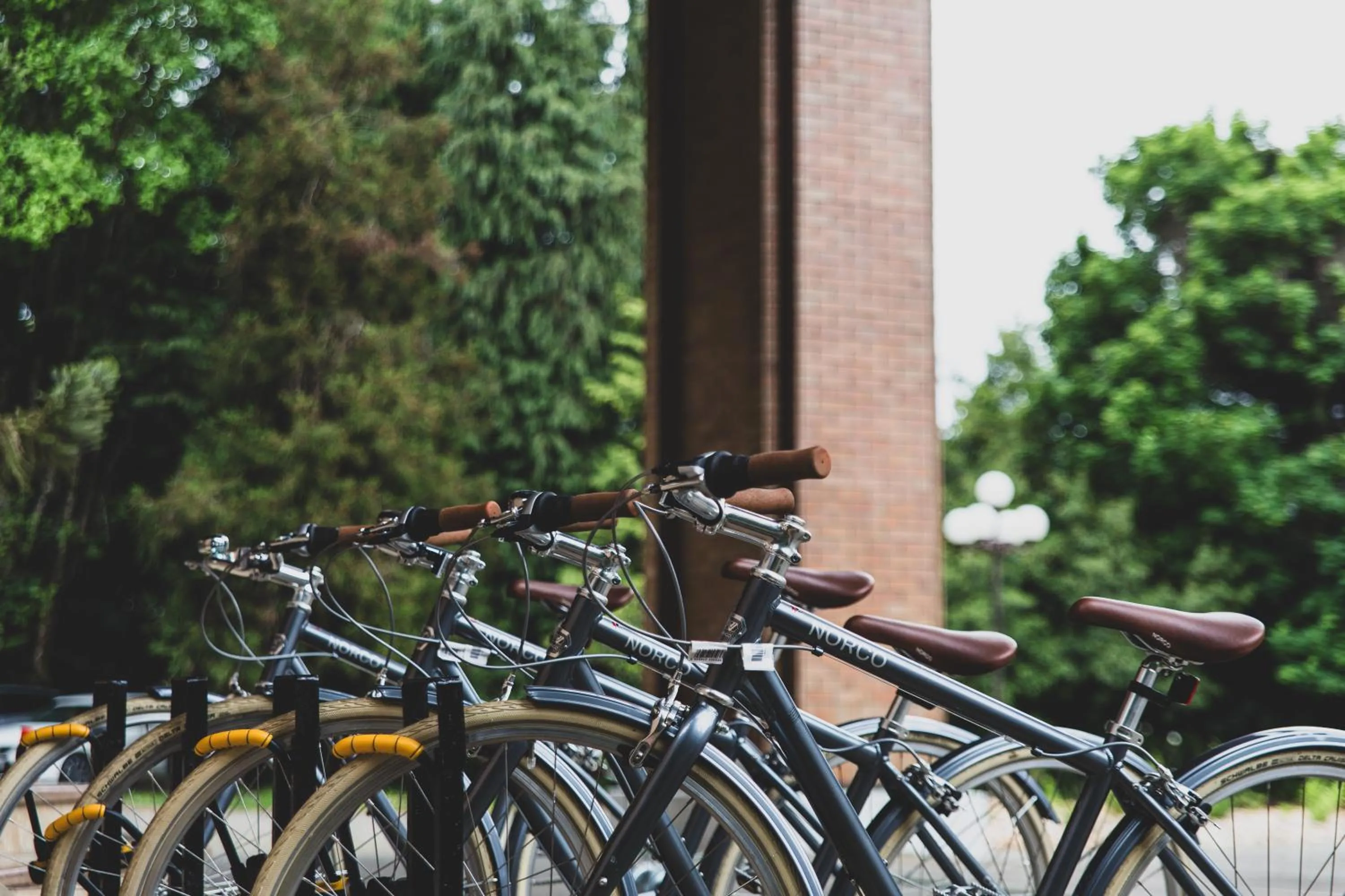 Cycling in Hotel Puerta del Sur