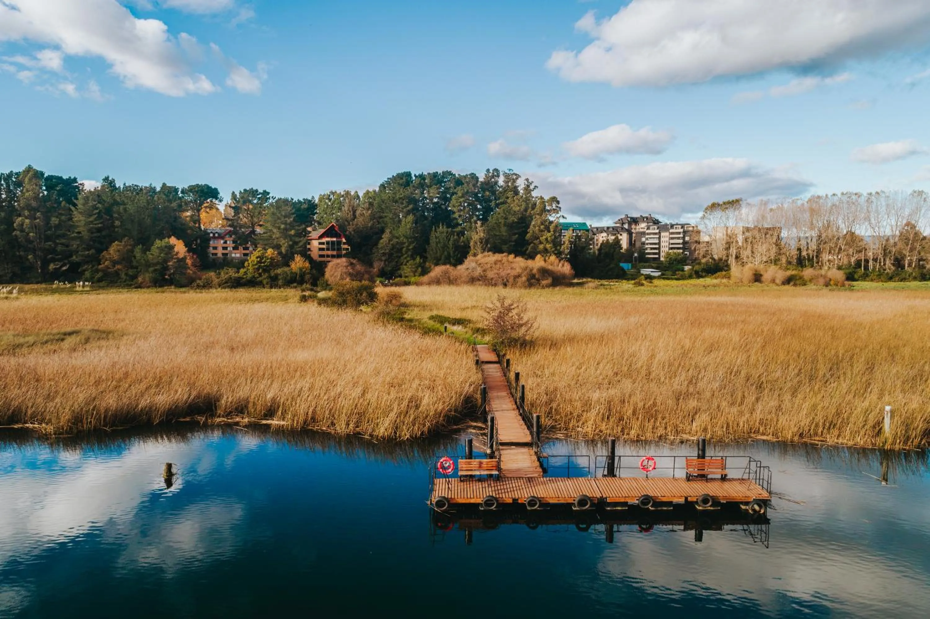 View (from property/room) in Hotel Puerta del Sur