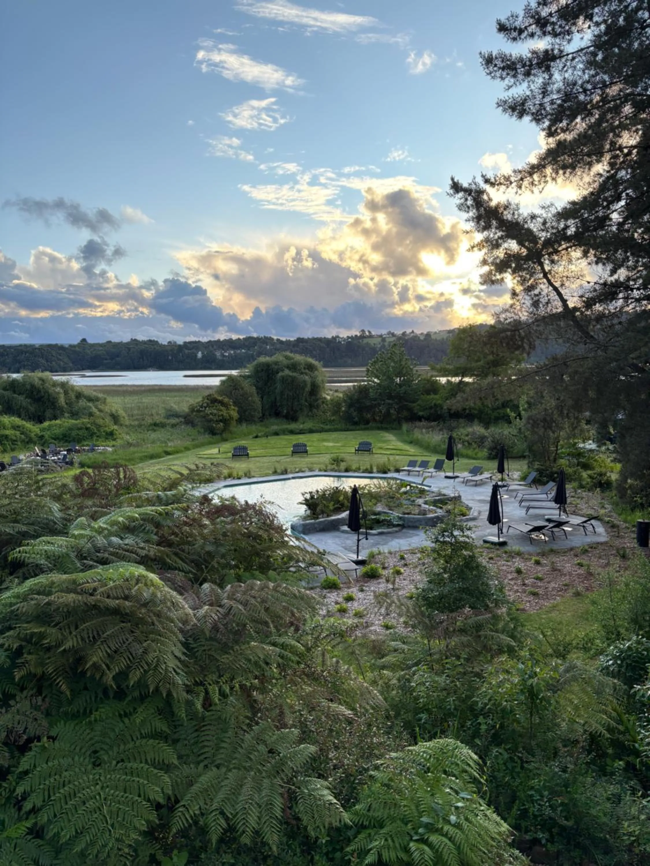 Garden in Hotel Puerta del Sur