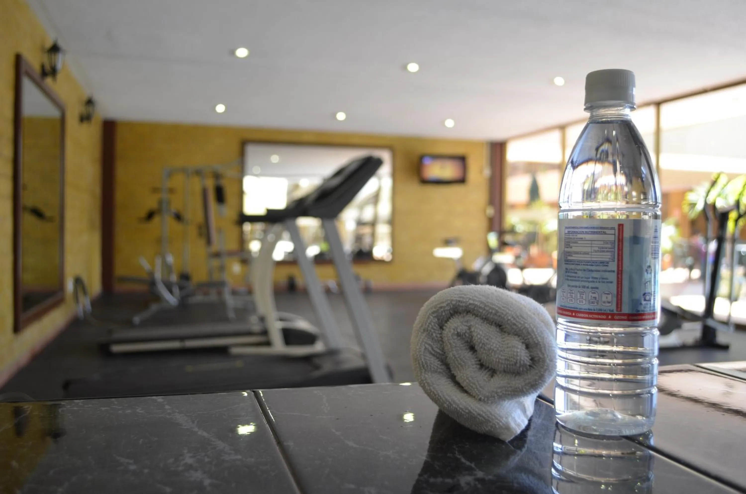 Best Western PLUS Plaza Florida & Tower