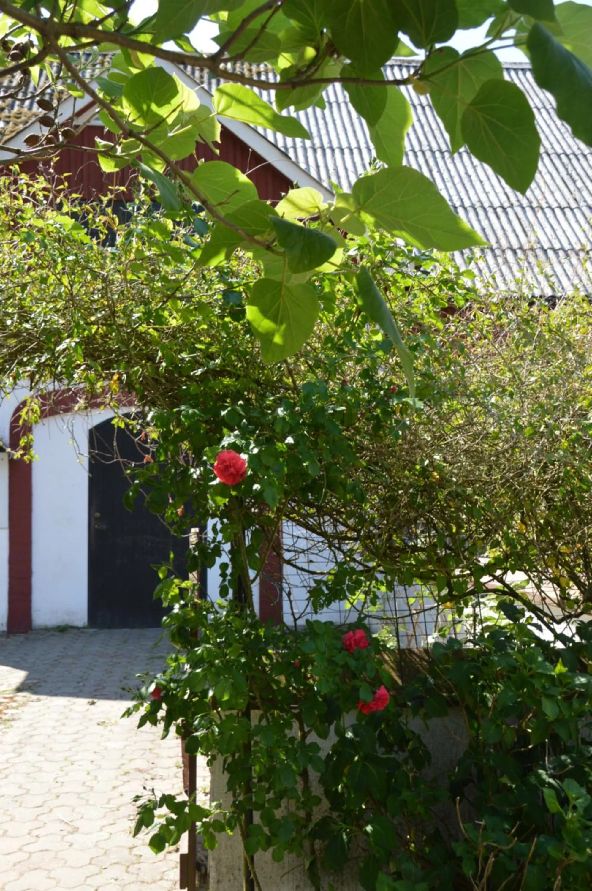 Garden in Gårdshotellet