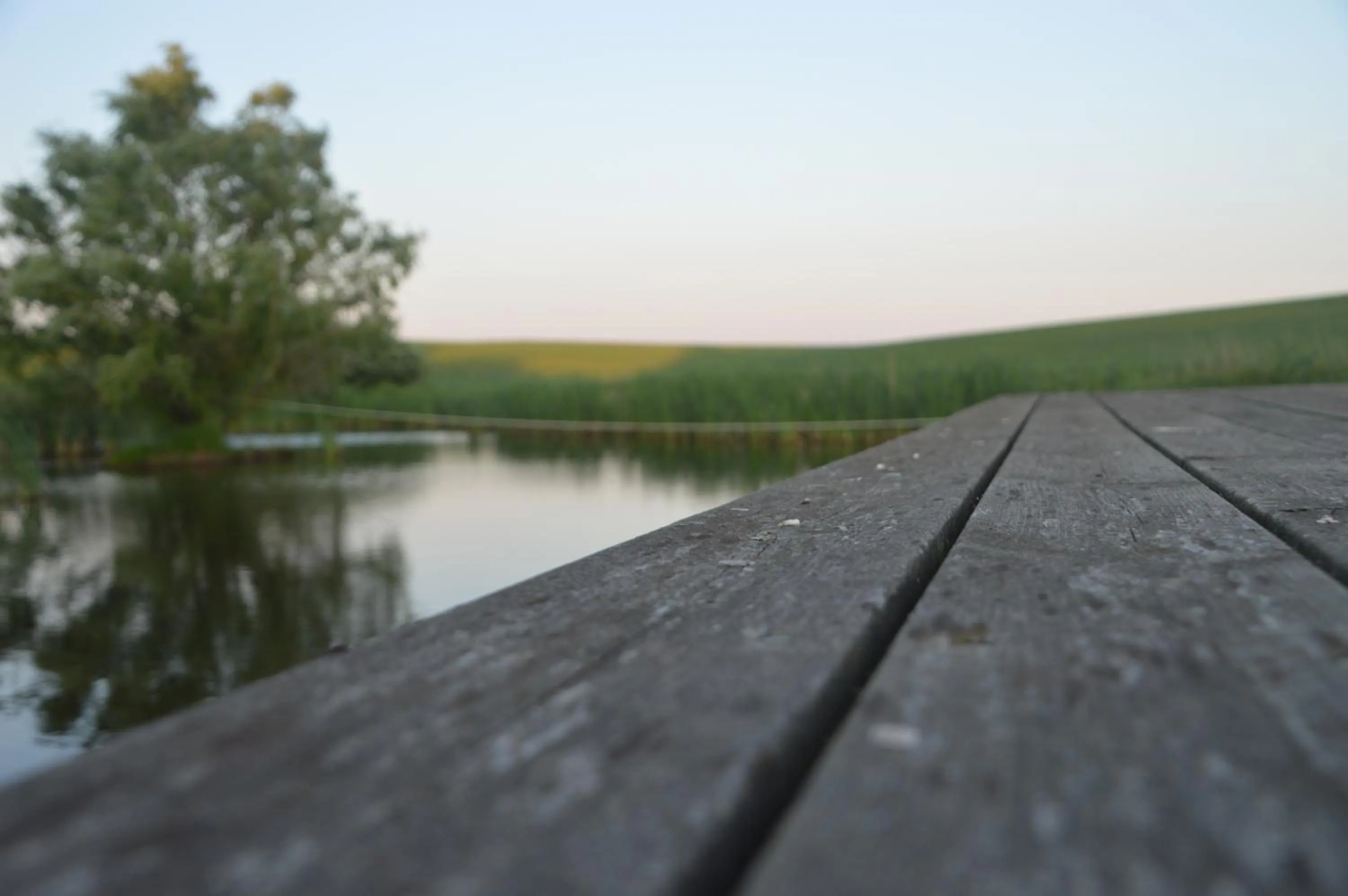 Natural landscape in Gårdshotellet