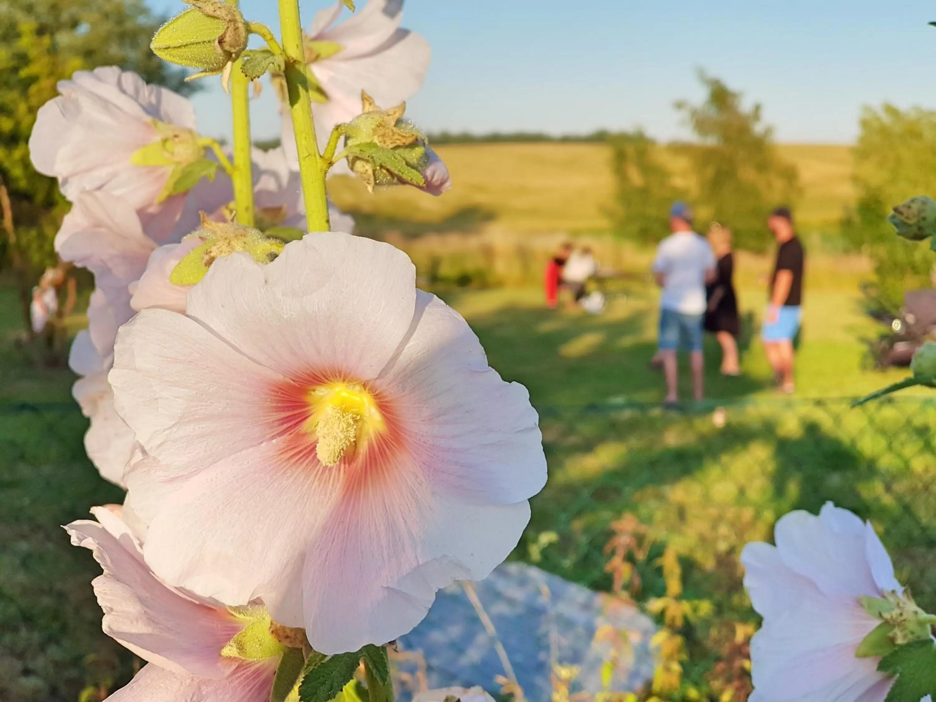 People in Gårdshotellet