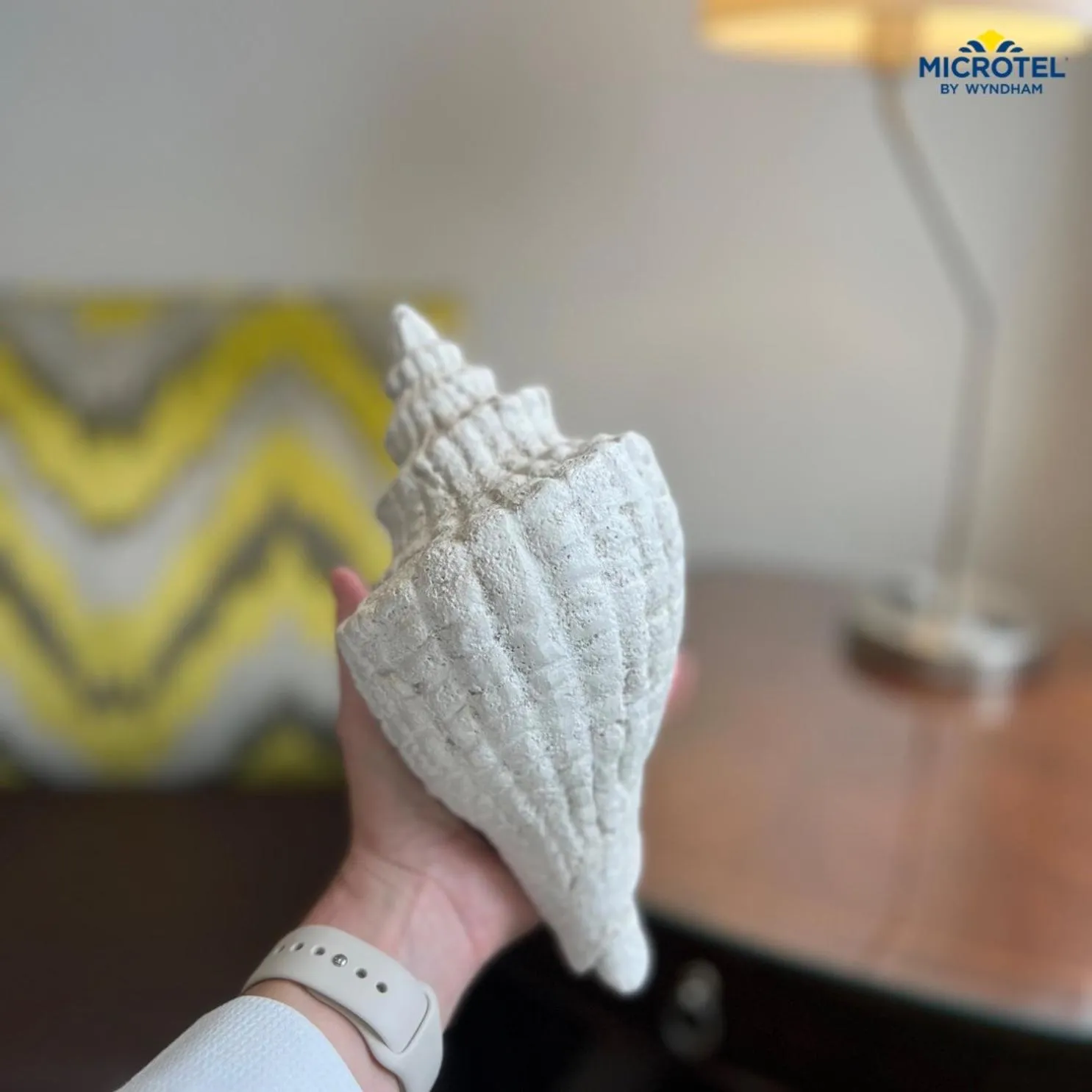 Microtel Inn & Suites by Wyndham Corpus Christi/Aransas Pass