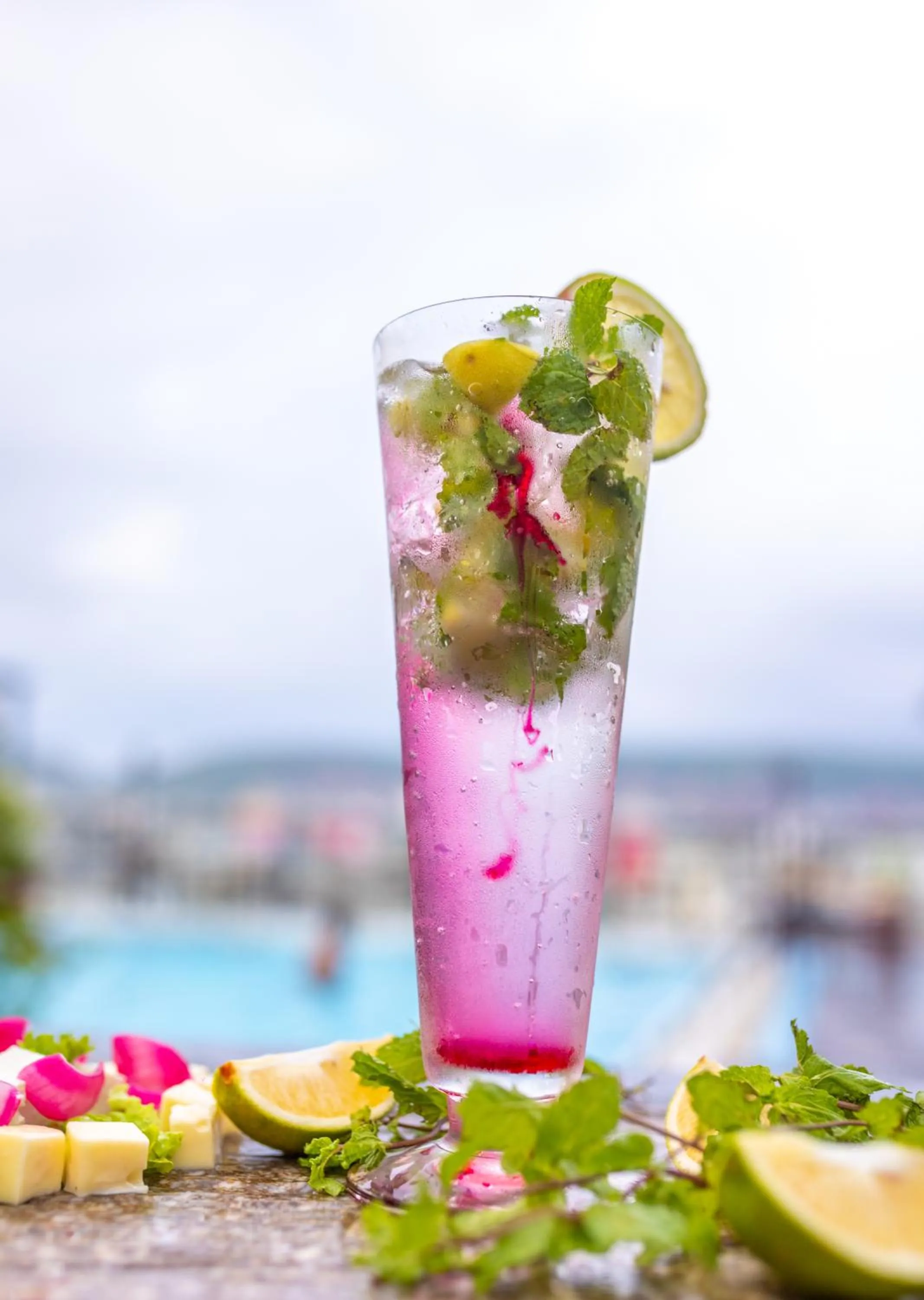 Restaurant/places to eat in Ramada By Wyndham Jaipur