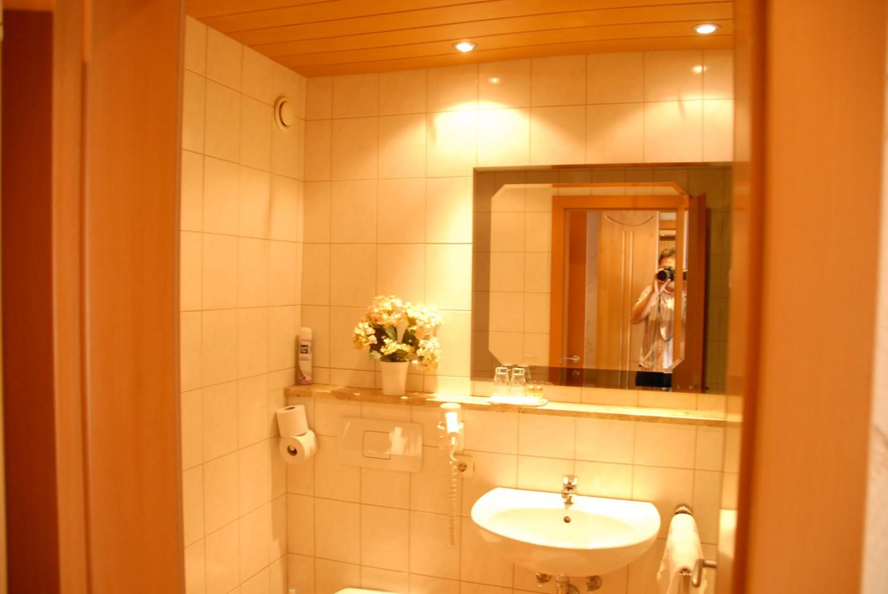 Bathroom in Hotel Edelweiss