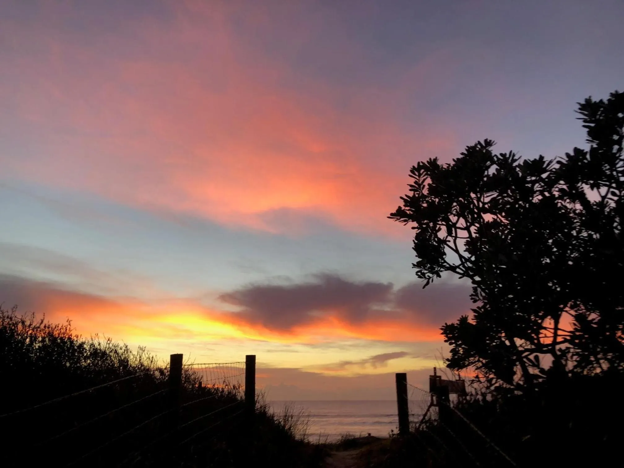 Beach in Blue River Apartments