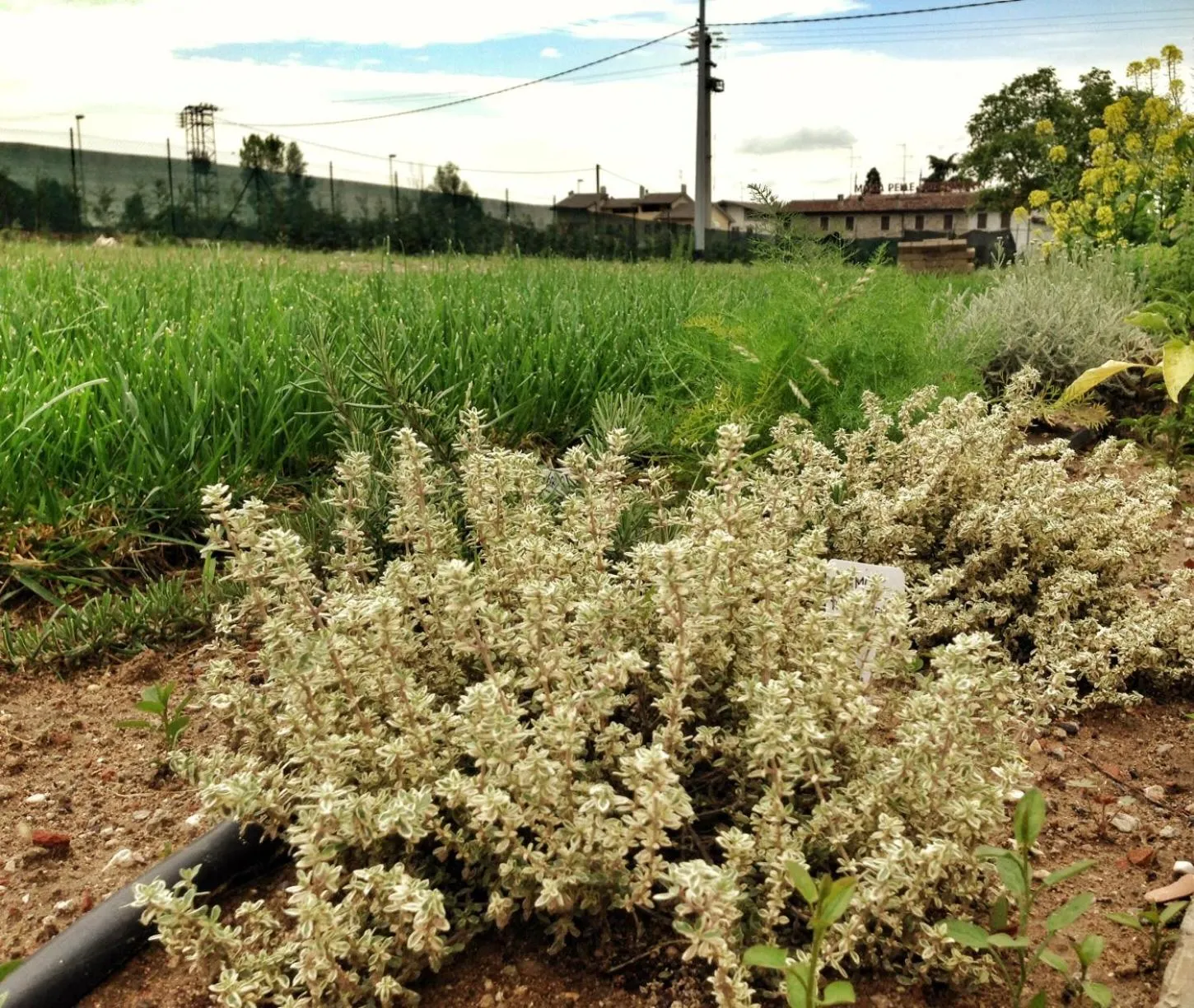 Decorative detail in Incanto di Luna Hotel