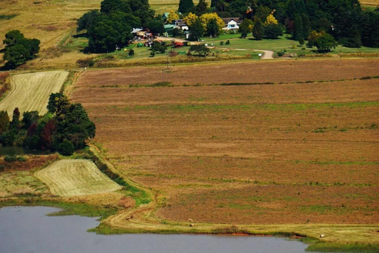 View (from property/room) in Bell Park Self Catering