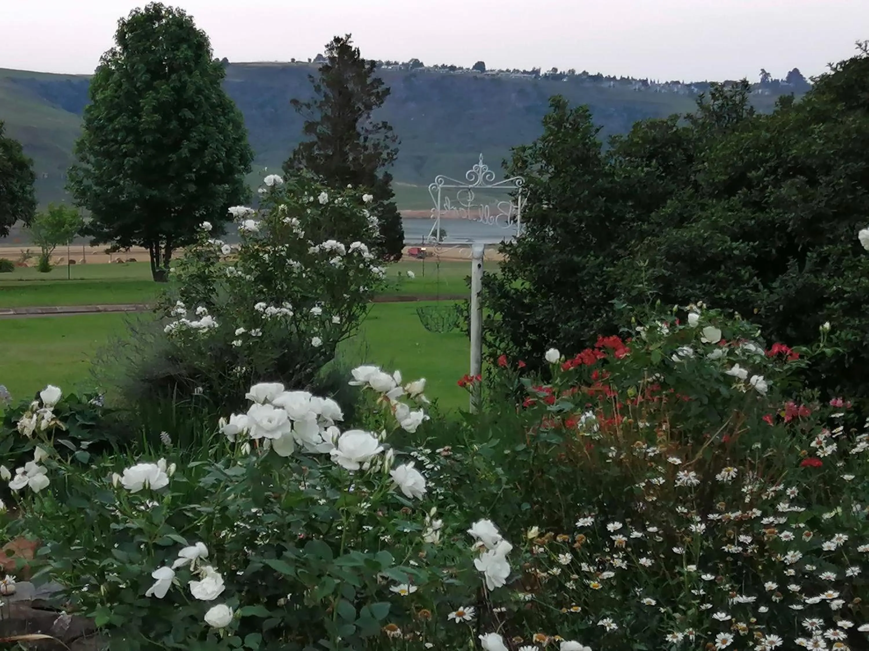 Garden in Bell Park Self Catering