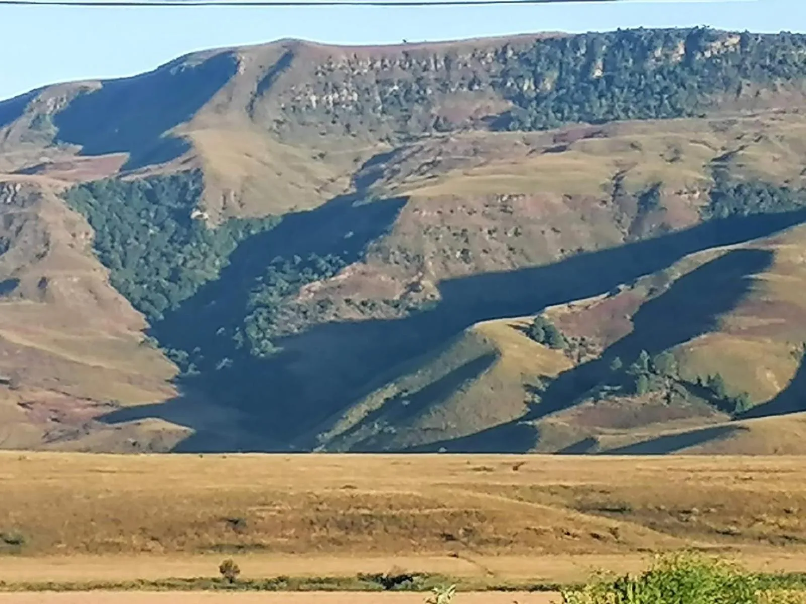 Natural landscape in Bell Park Self Catering