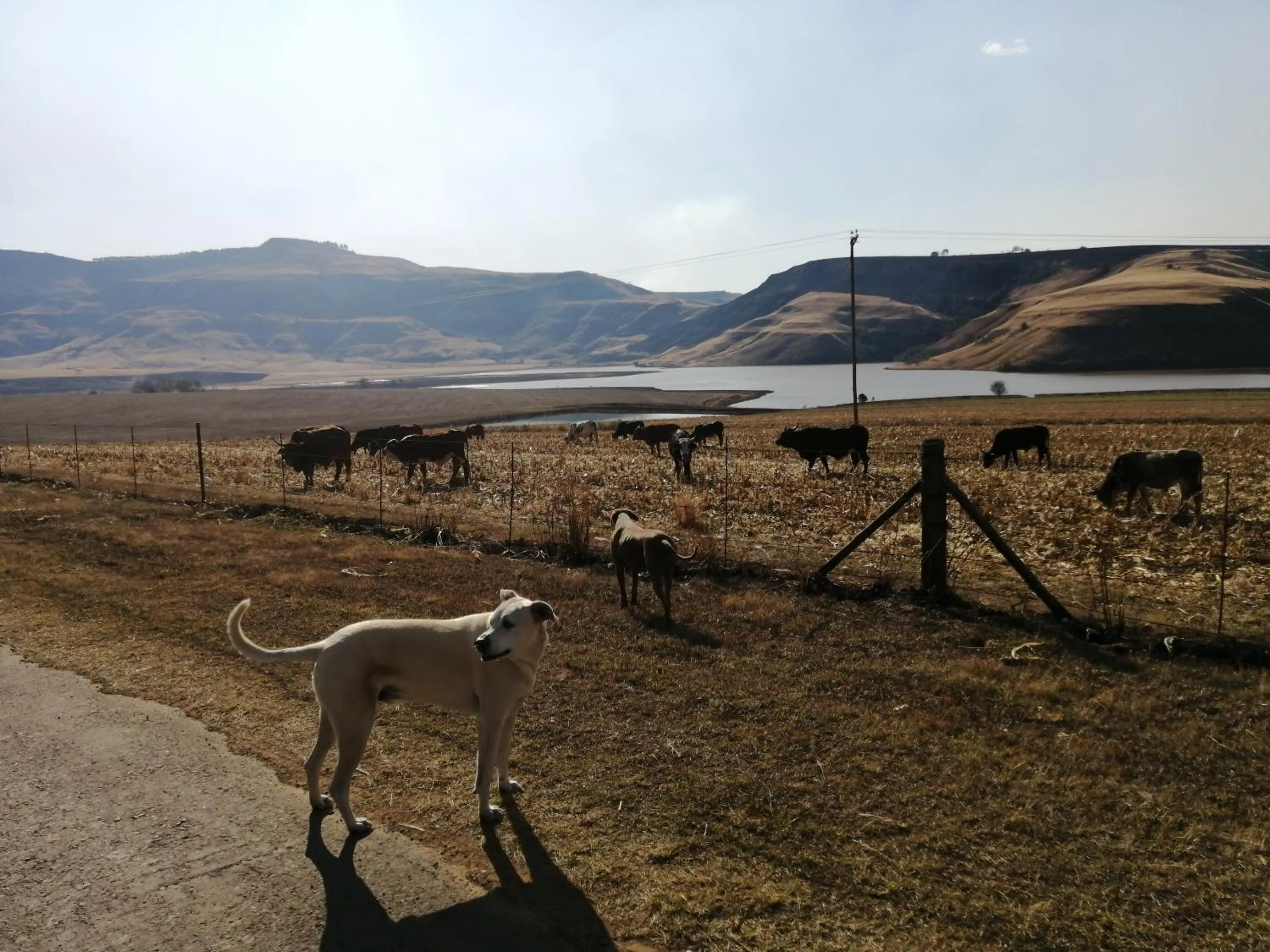View (from property/room) in Bell Park Self Catering