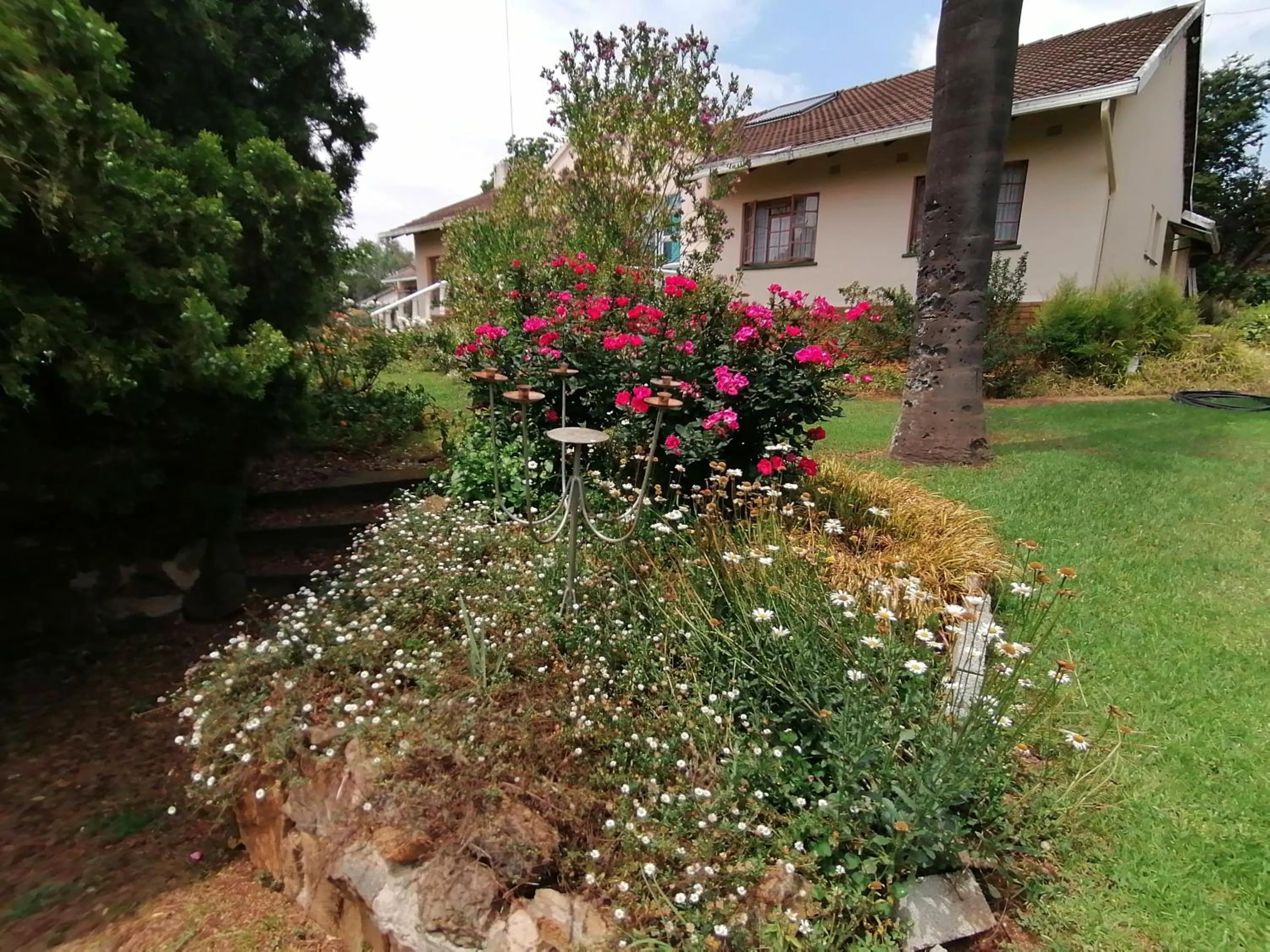 Garden in Bell Park Self Catering