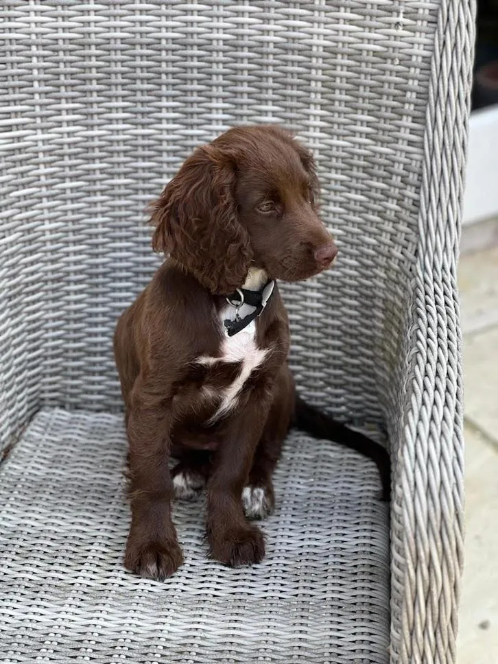 Property building in Clock House B&B