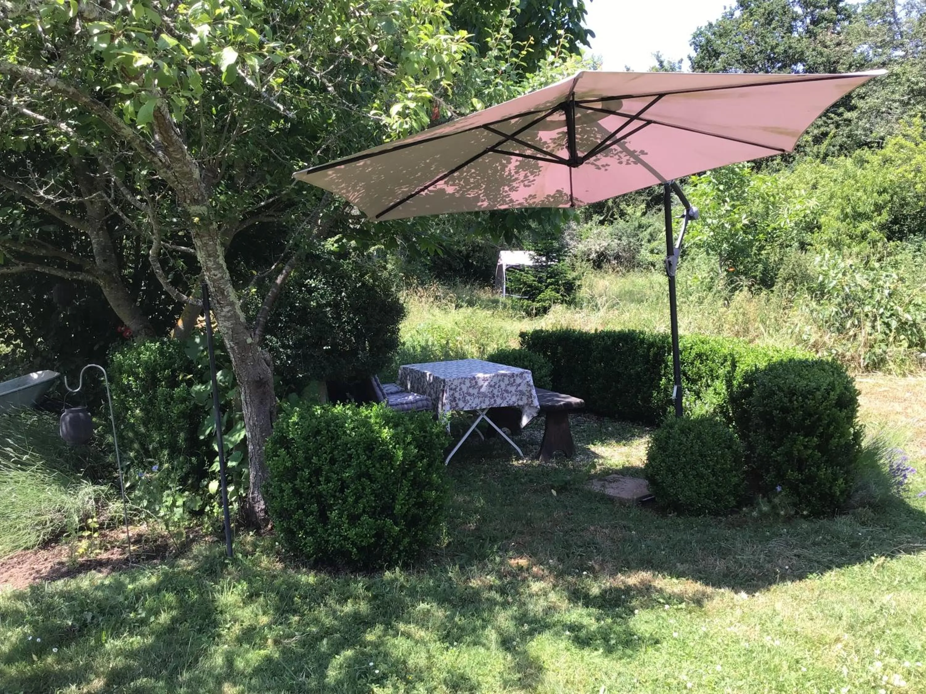 Garden in Le Domaine