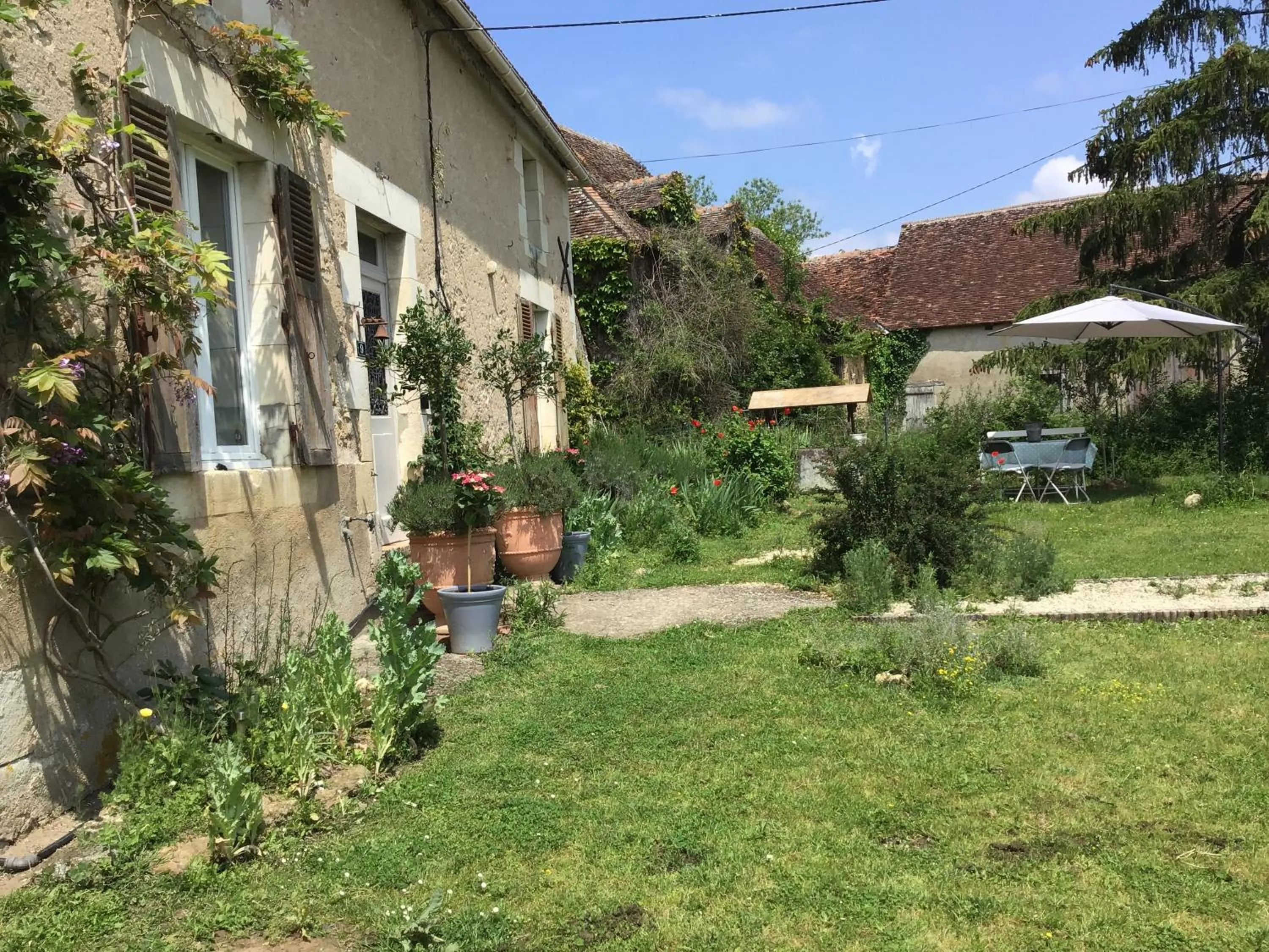 Garden in Le Domaine