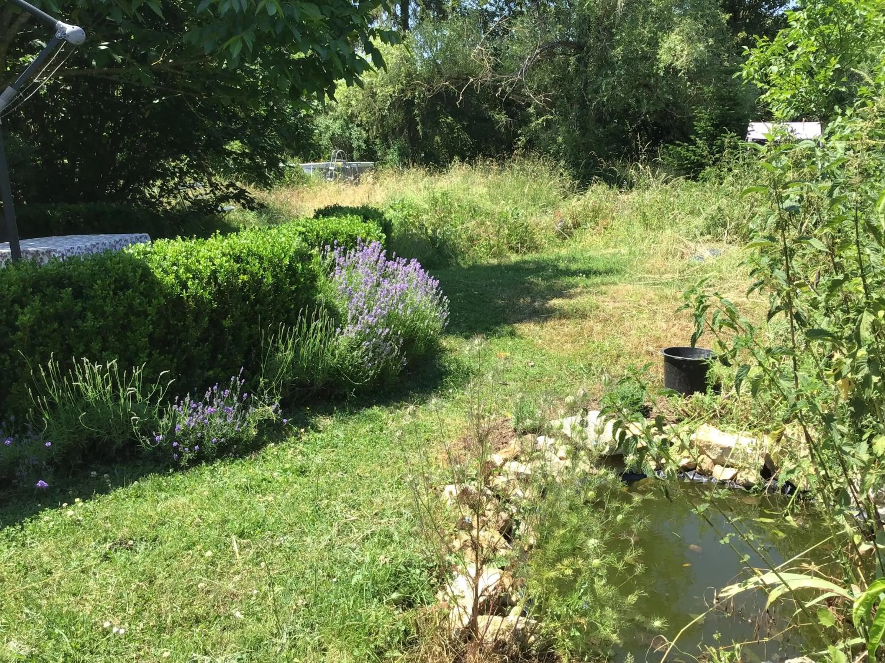 Garden in Le Domaine
