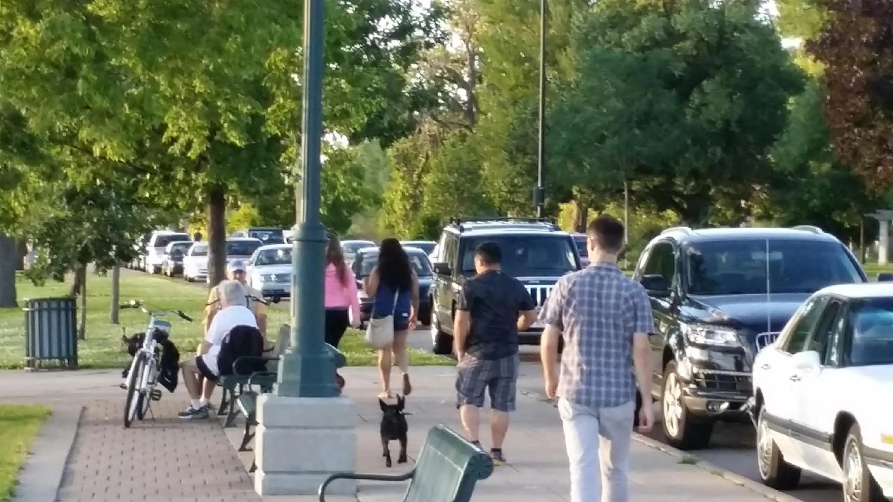 Day in Rodeway Inn La Crosse