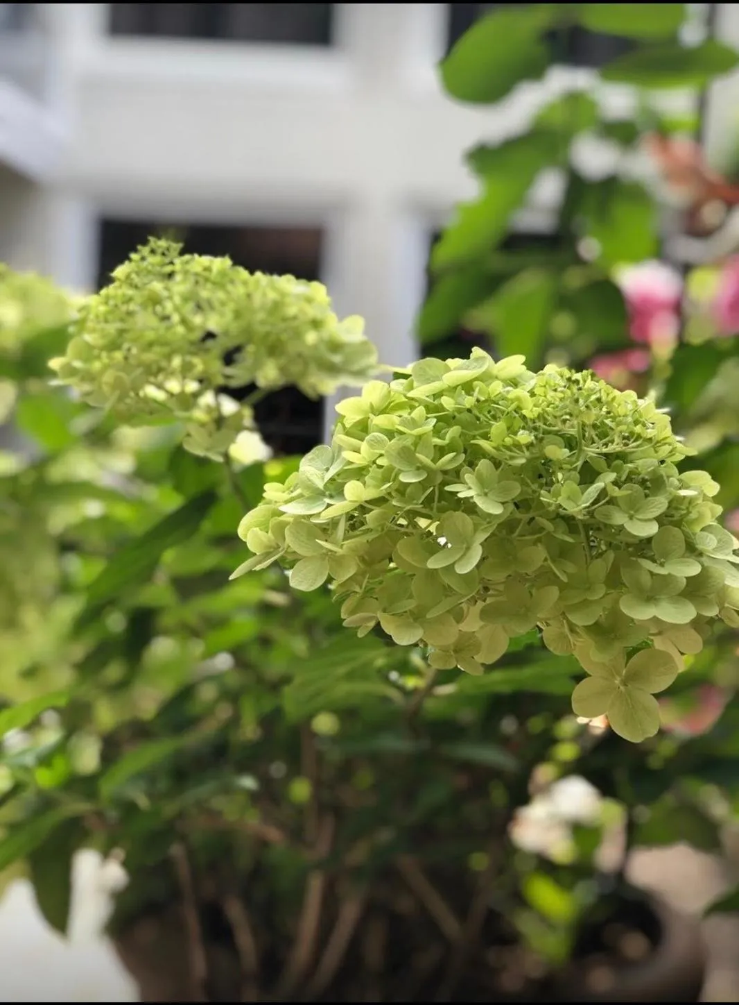 B&B Montancourt-Middelburg