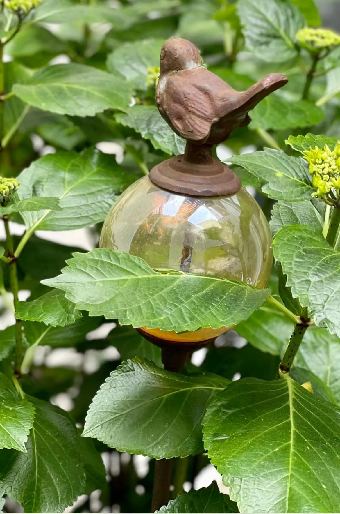 B&B Montancourt-Middelburg