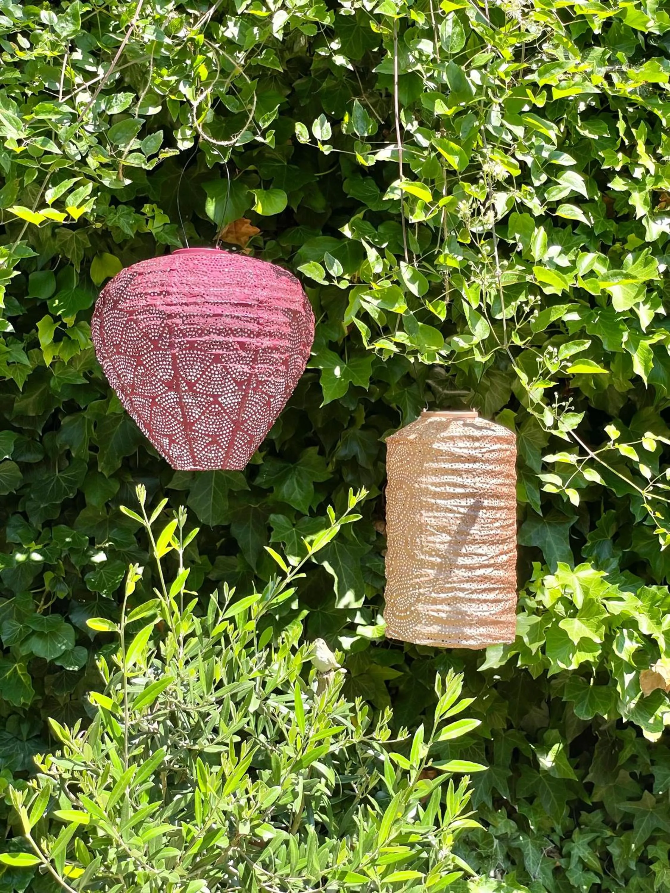 B&B Montancourt-Middelburg