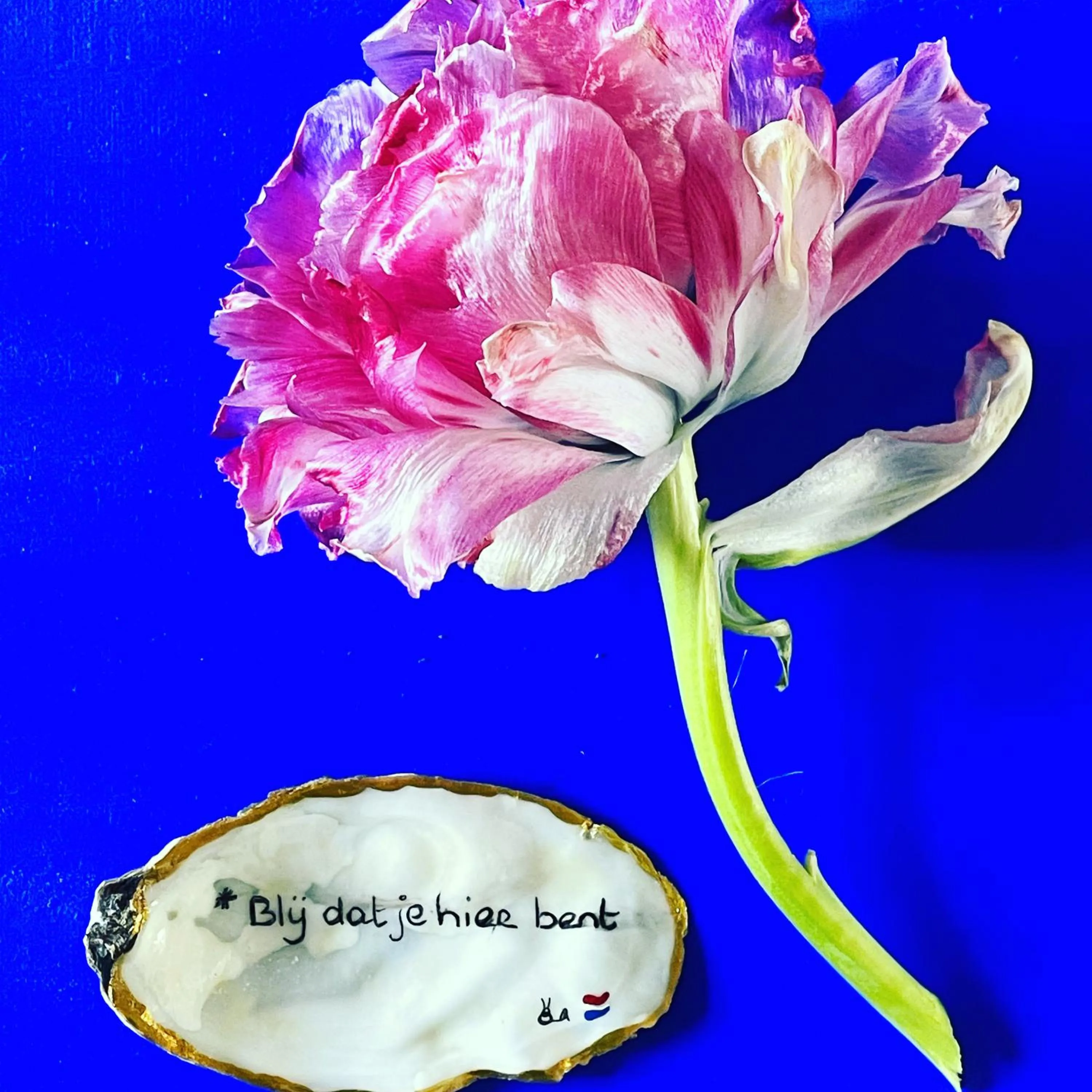 B&B Montancourt-Middelburg