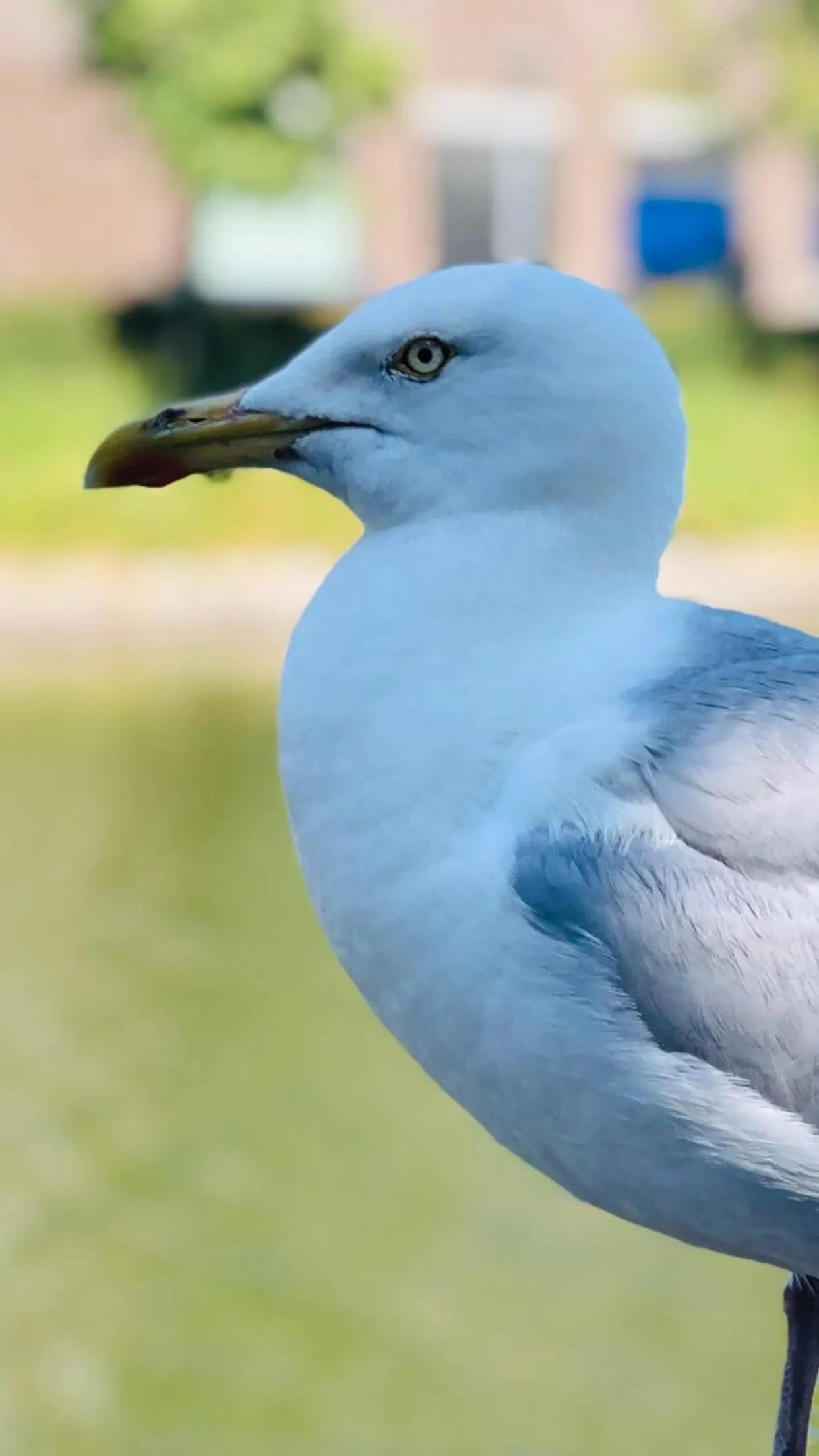 B&B Montancourt-Middelburg