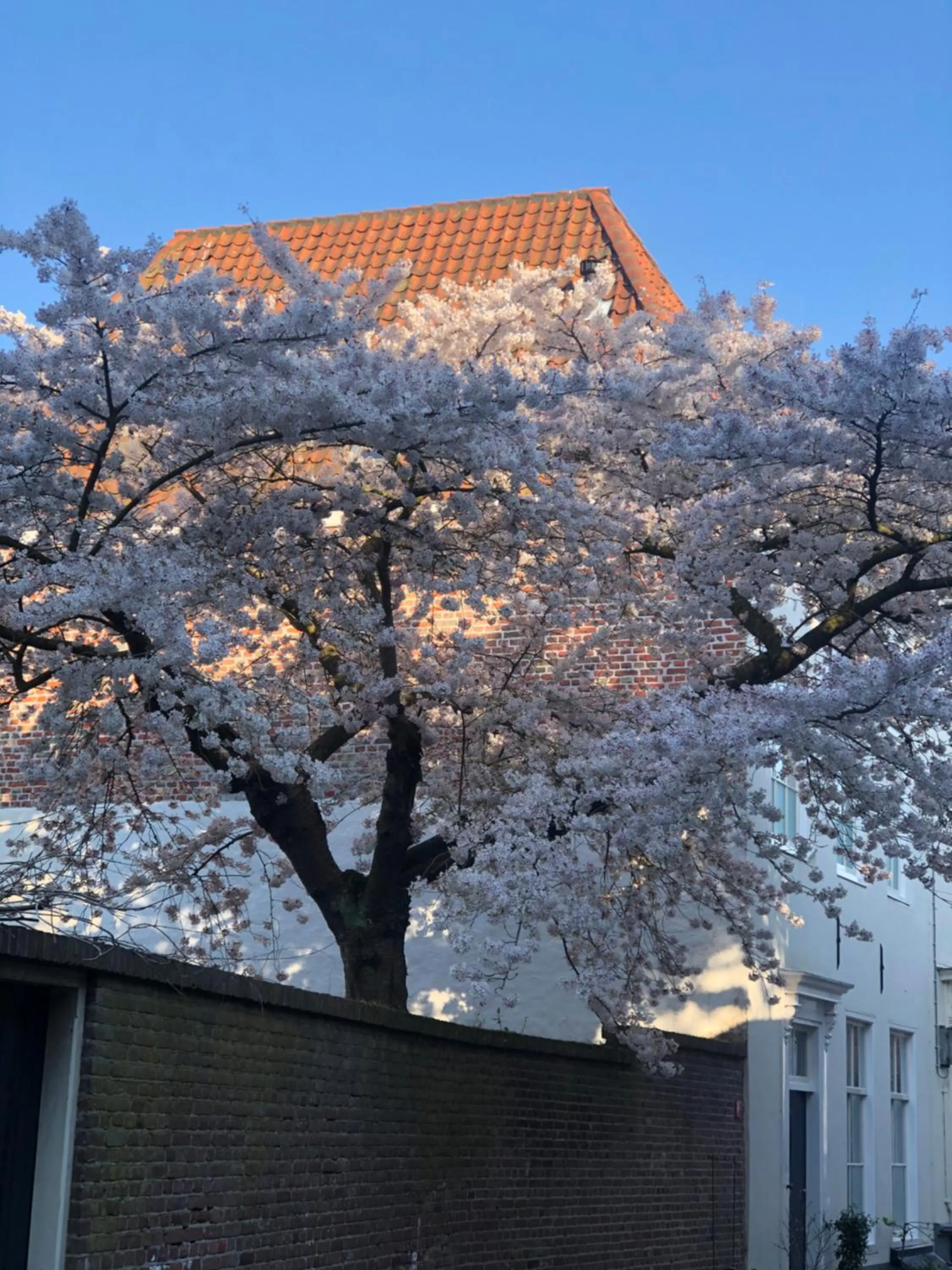 B&B Montancourt-Middelburg