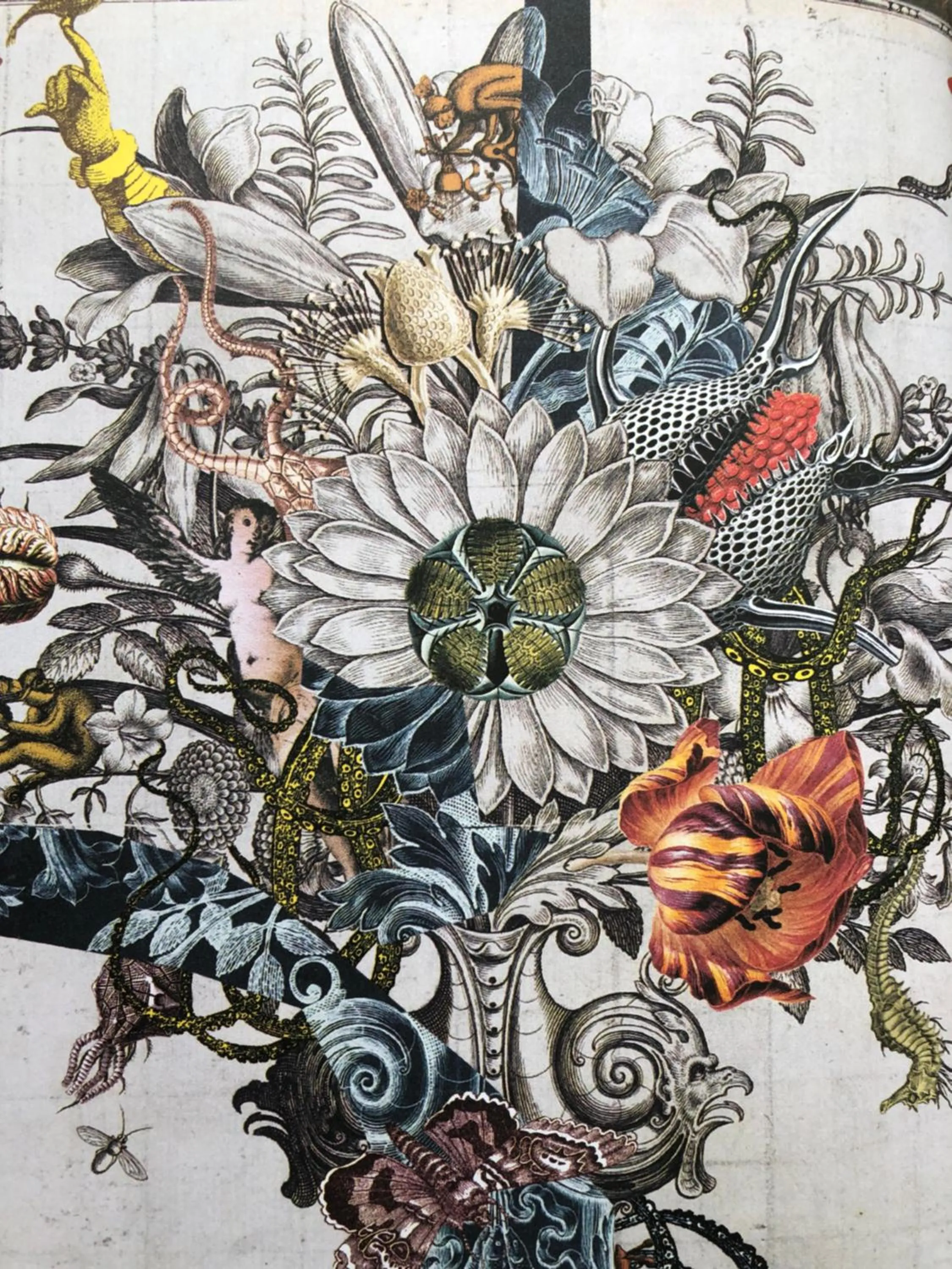 B&B Montancourt-Middelburg