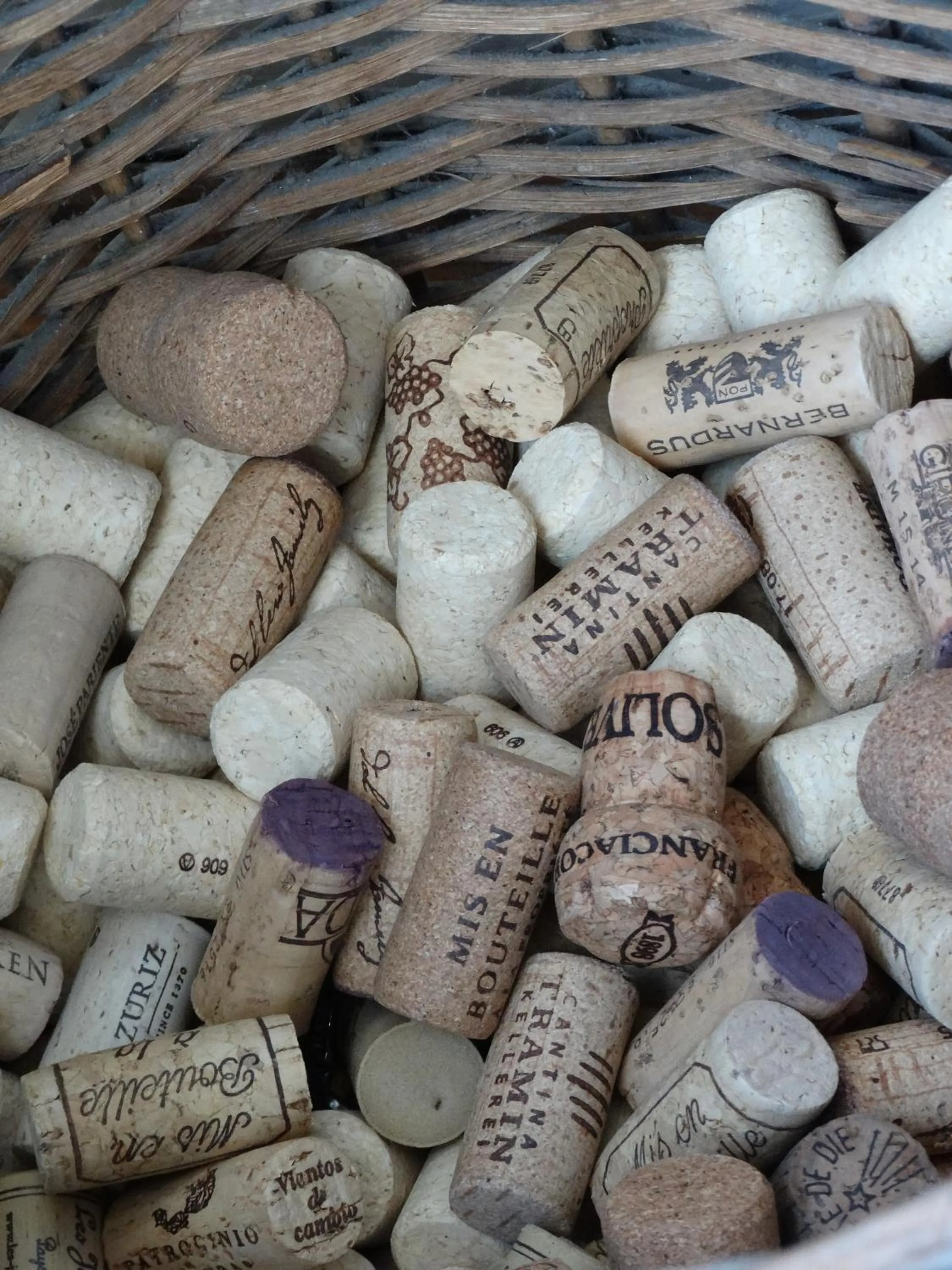 Food and drinks in B&B Montancourt-Middelburg