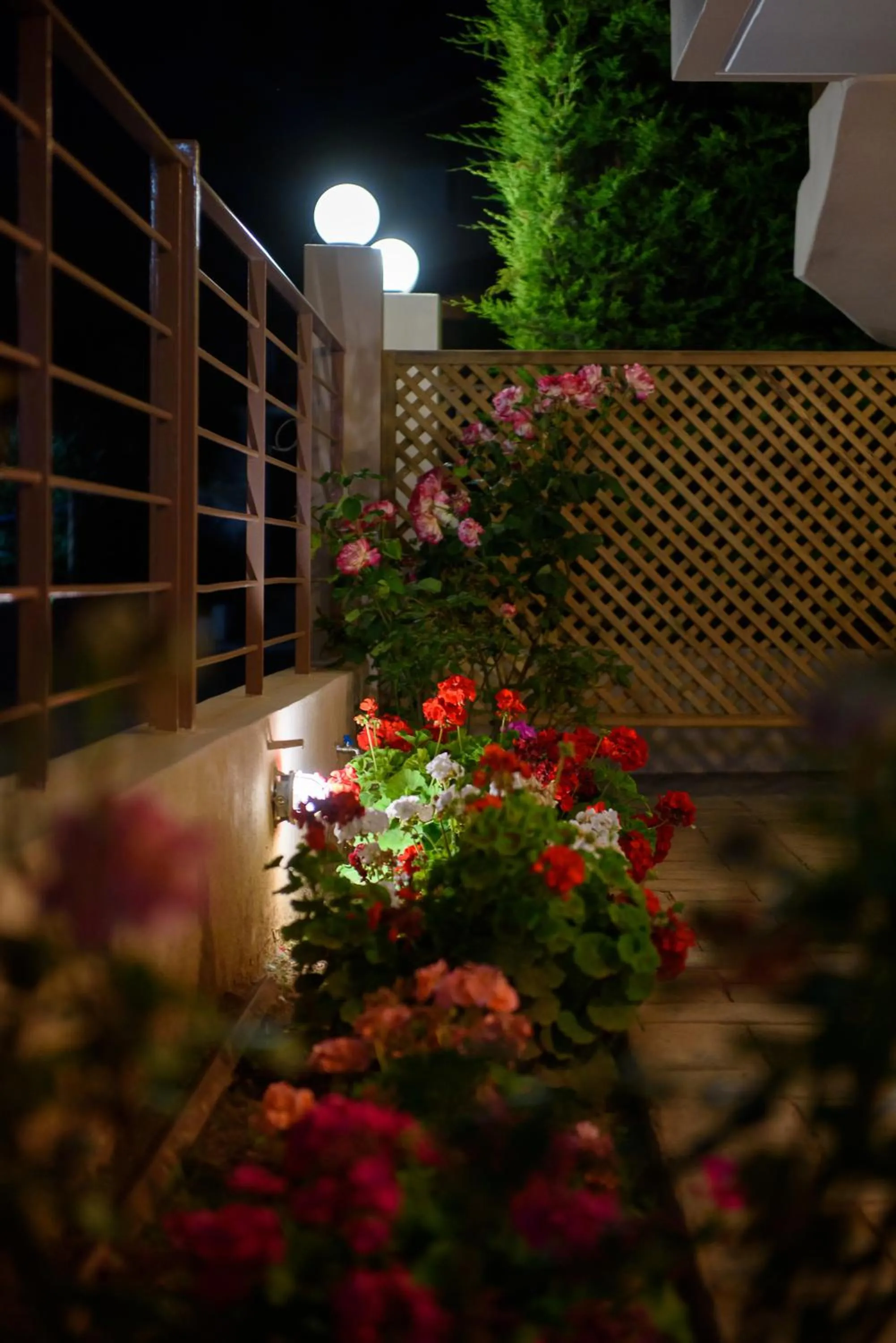 Artemissoula near airport