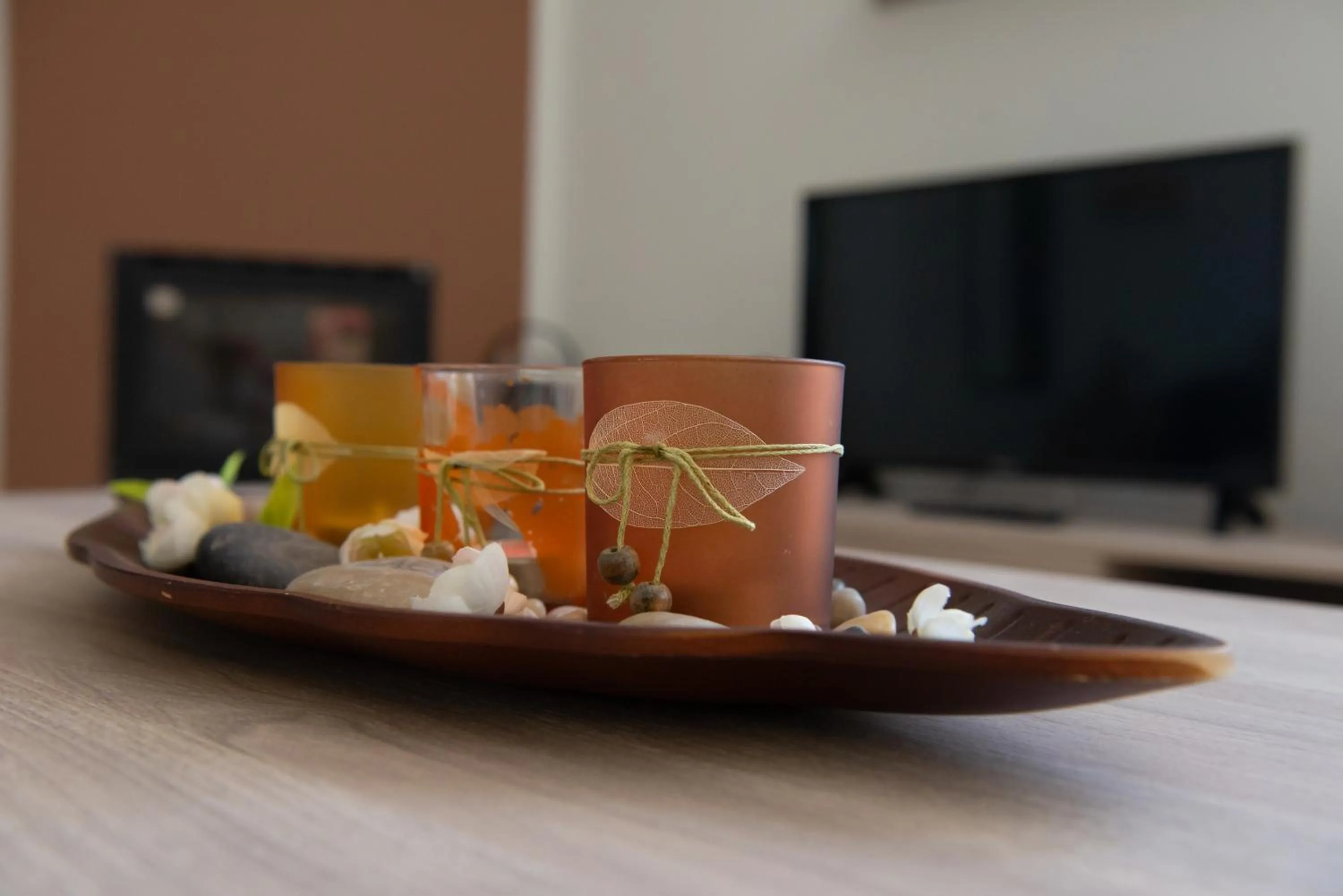 Living room in Artemissoula near airport