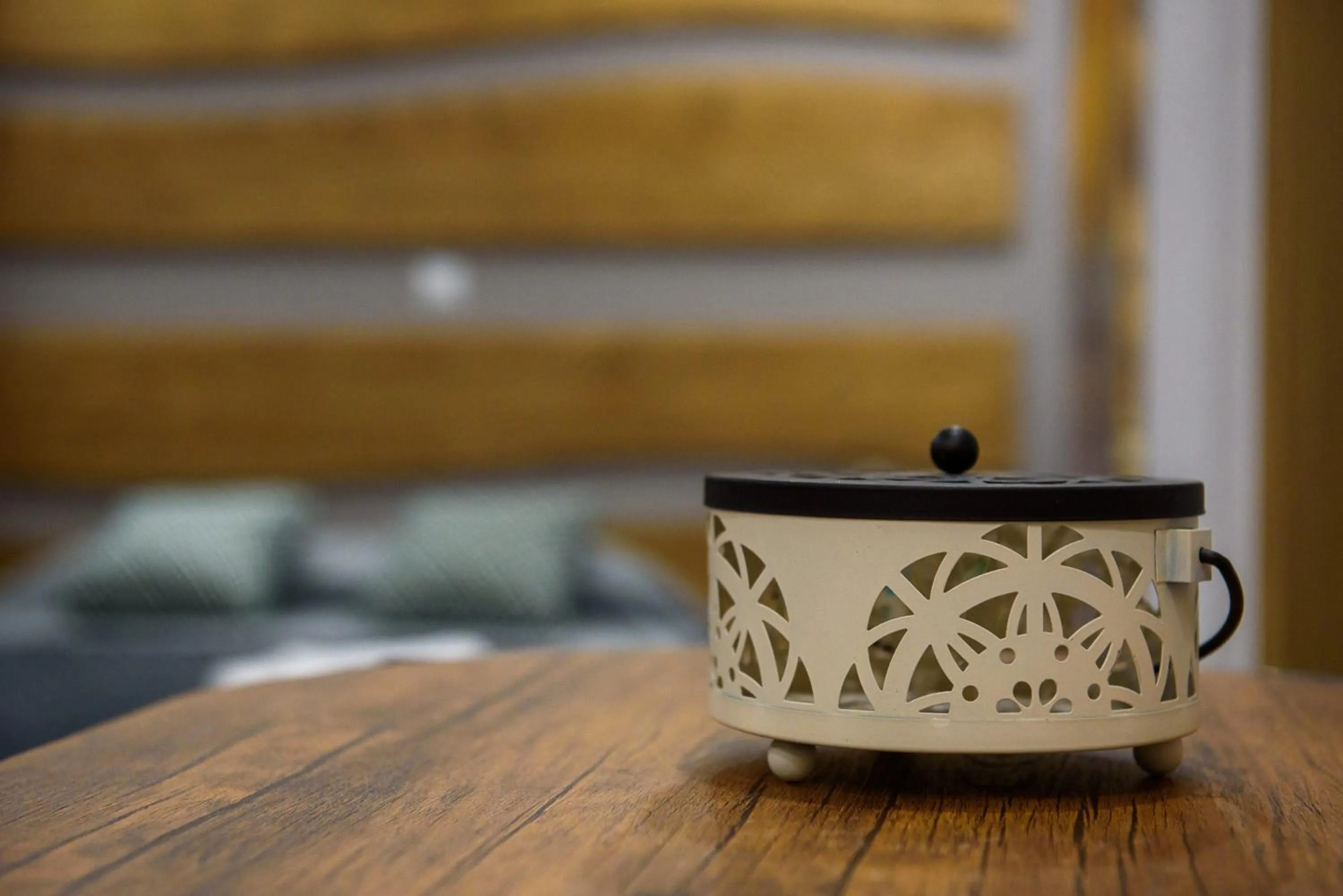 Artemissoula near airport