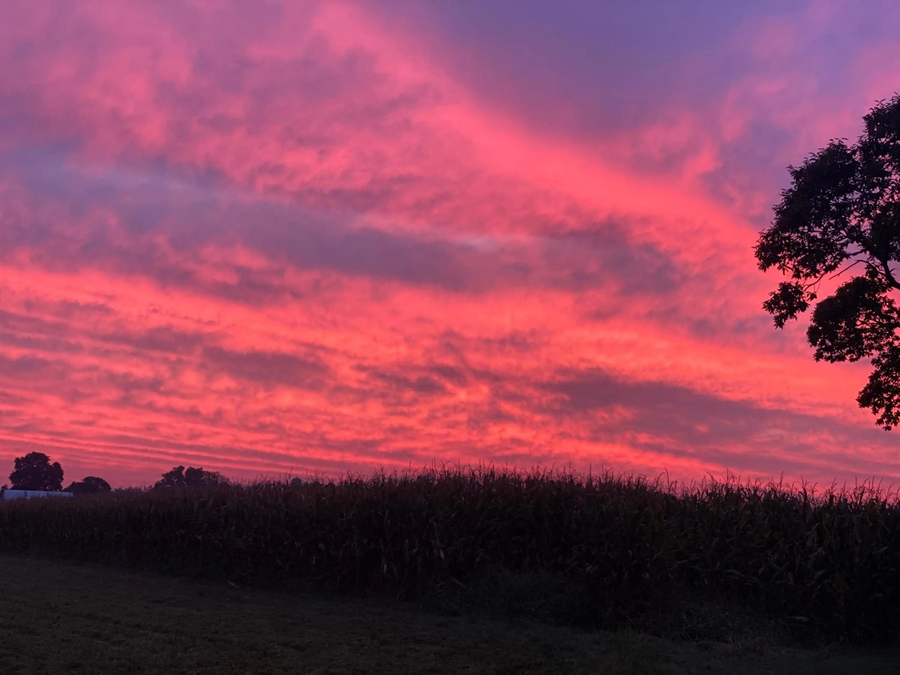 Natural landscape in Scottish Inns Ronks