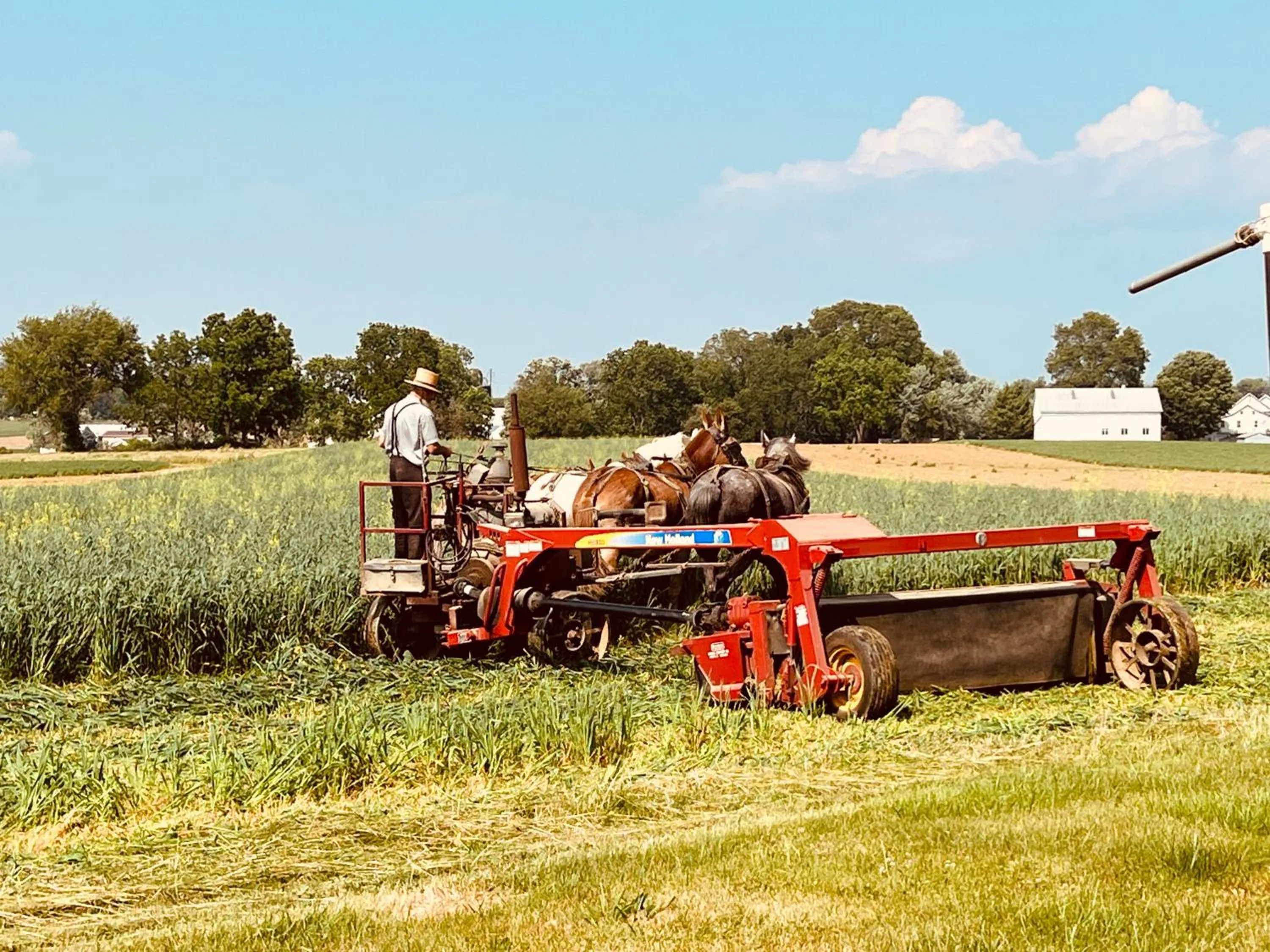 Natural landscape in Scottish Inns Ronks