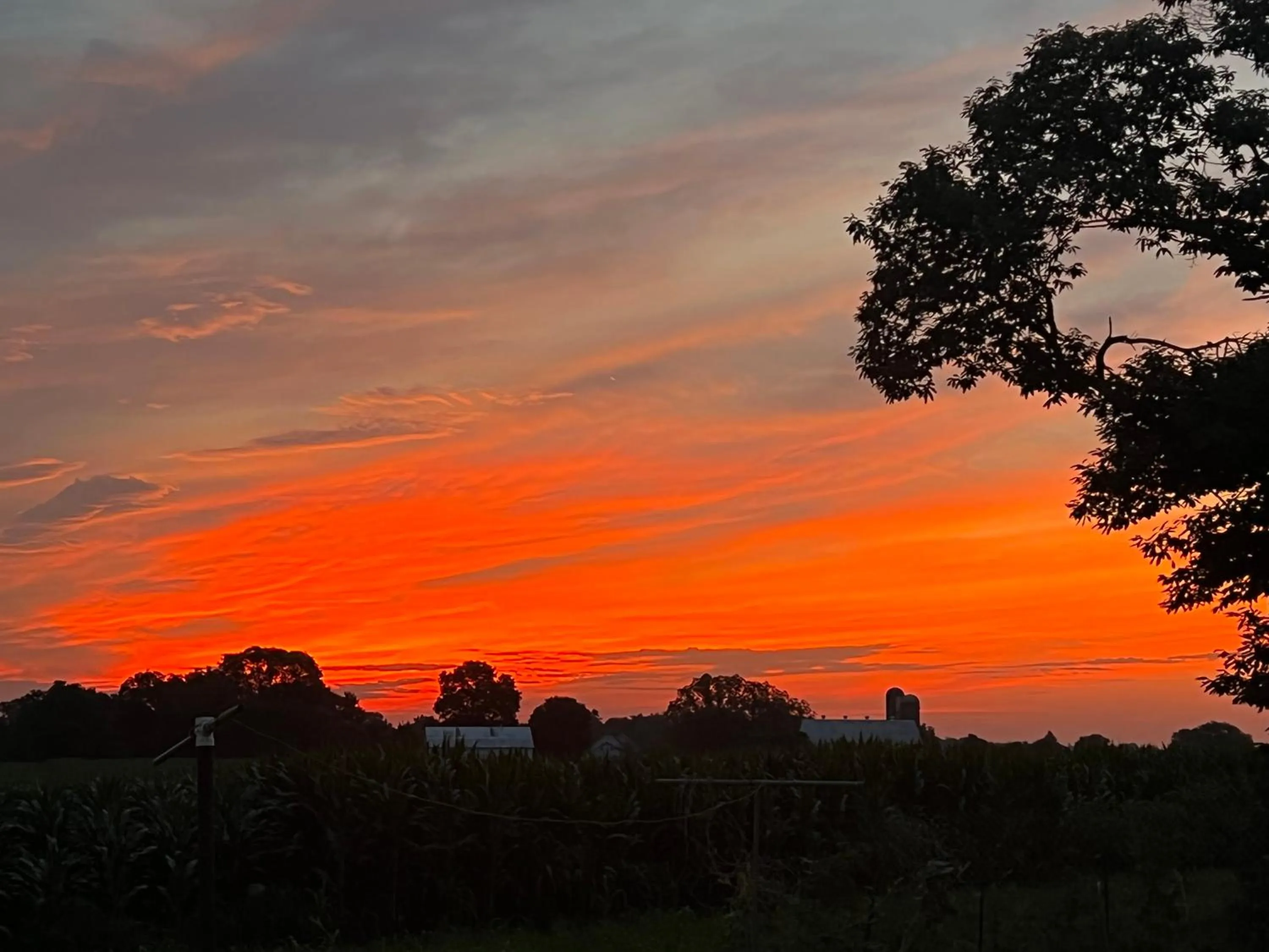 Natural landscape in Scottish Inns Ronks