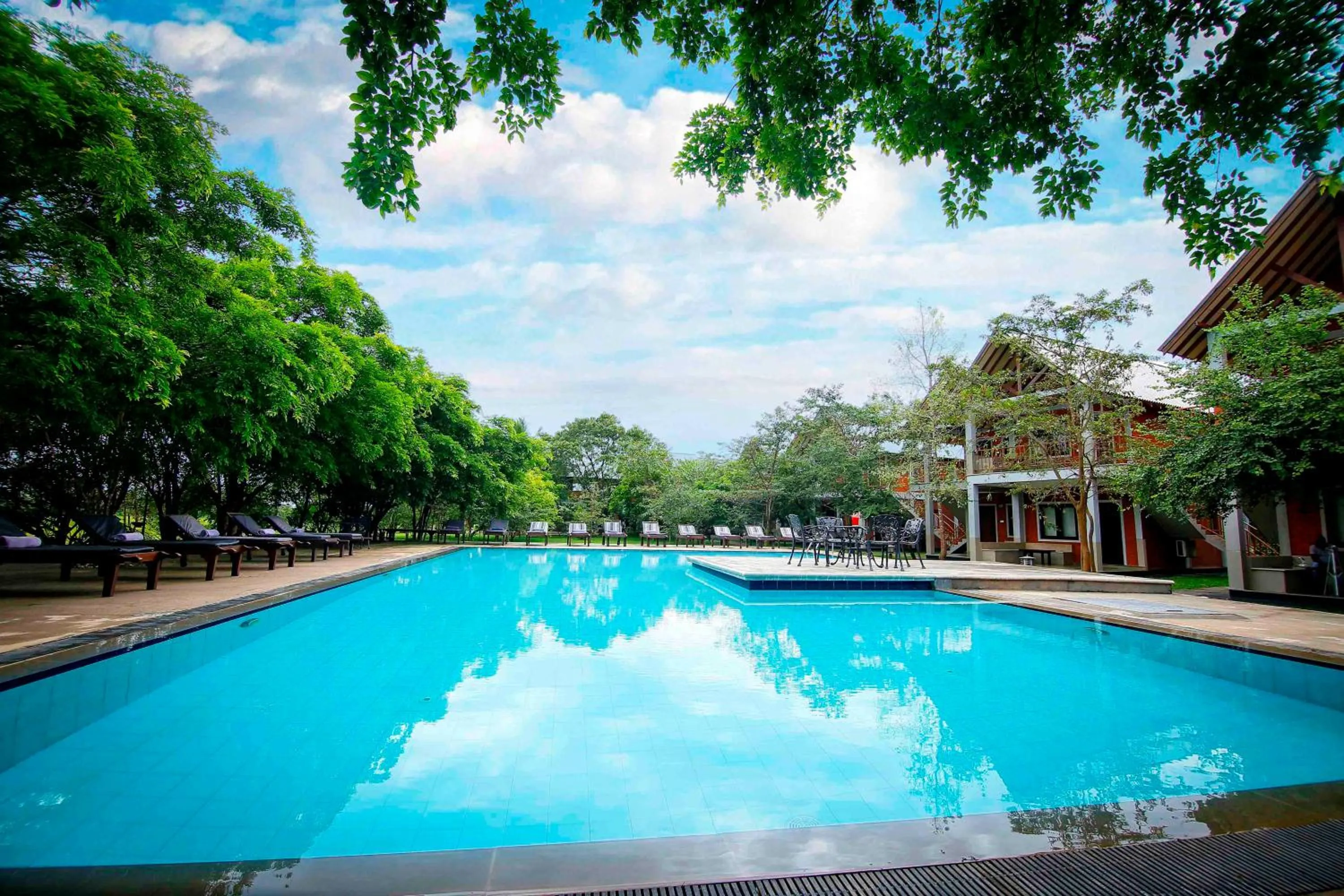 Swimming pool in Elephas Resort & Spa