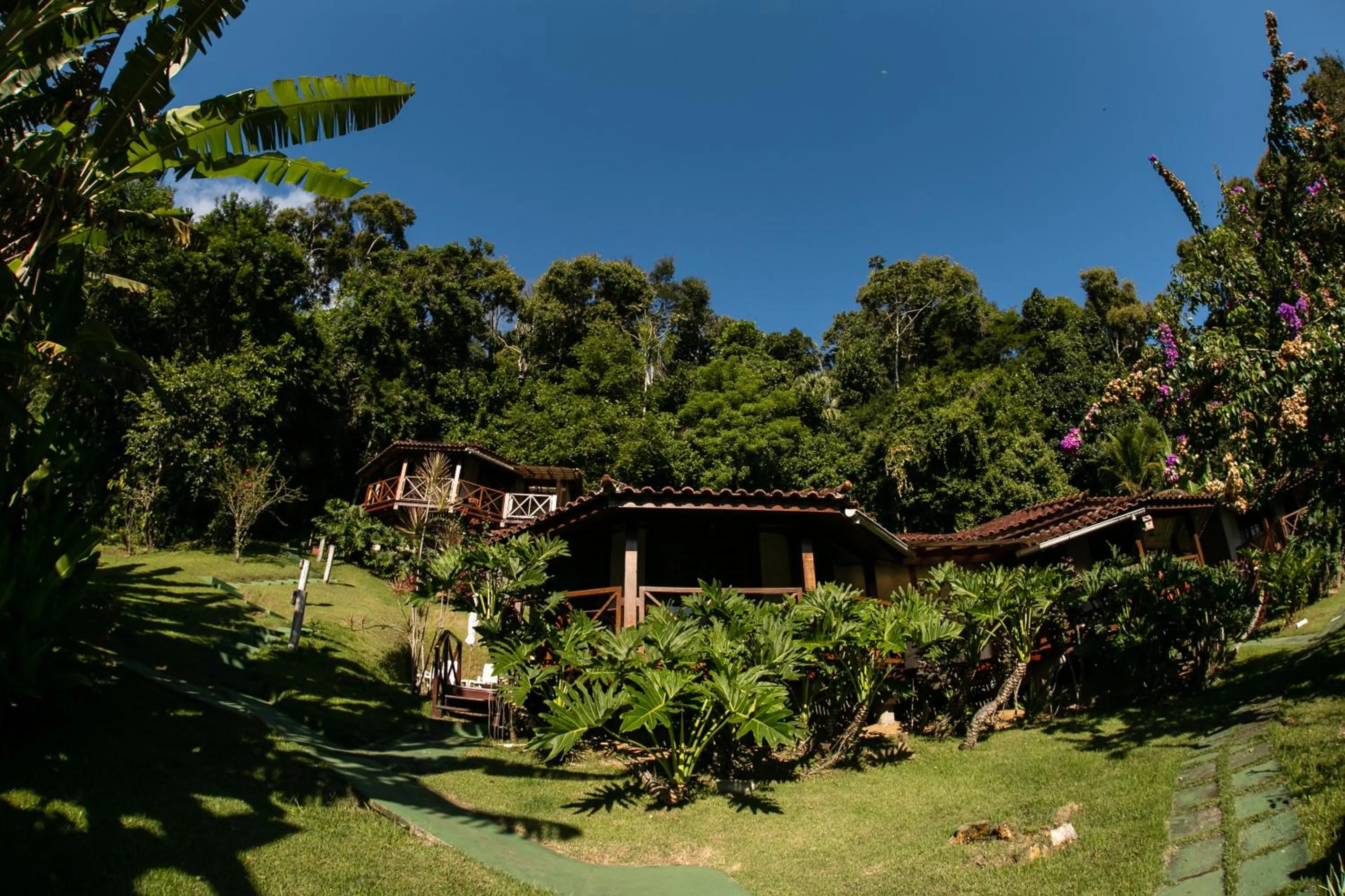 Garden in Pousada Vitorino