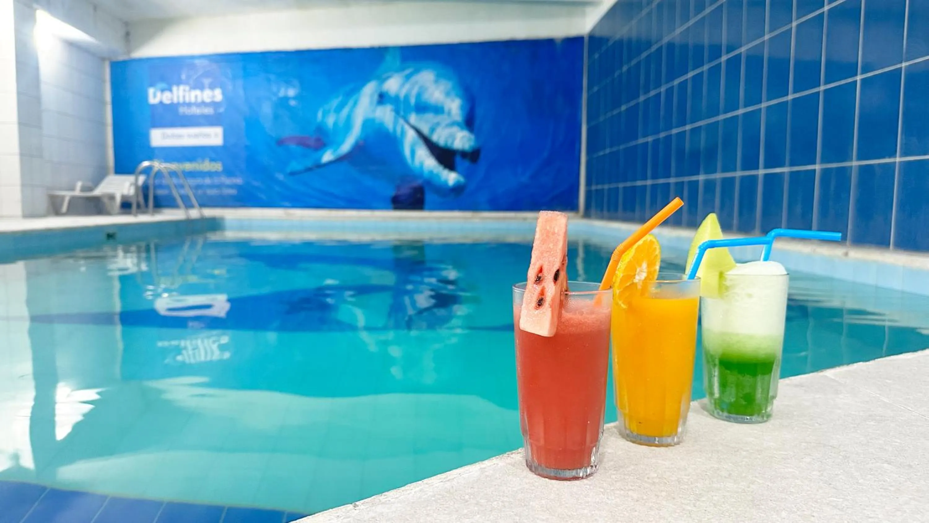 Pool view in Delfines Apart Hotel