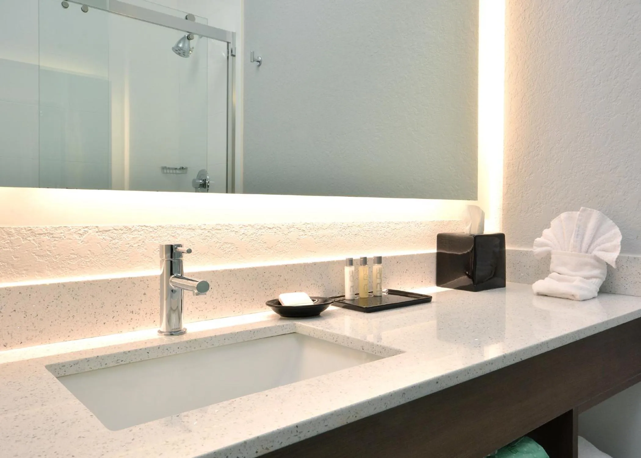 Bathroom in Brookstone Lodge near Biltmore Village, an Ascend Collection Hotel