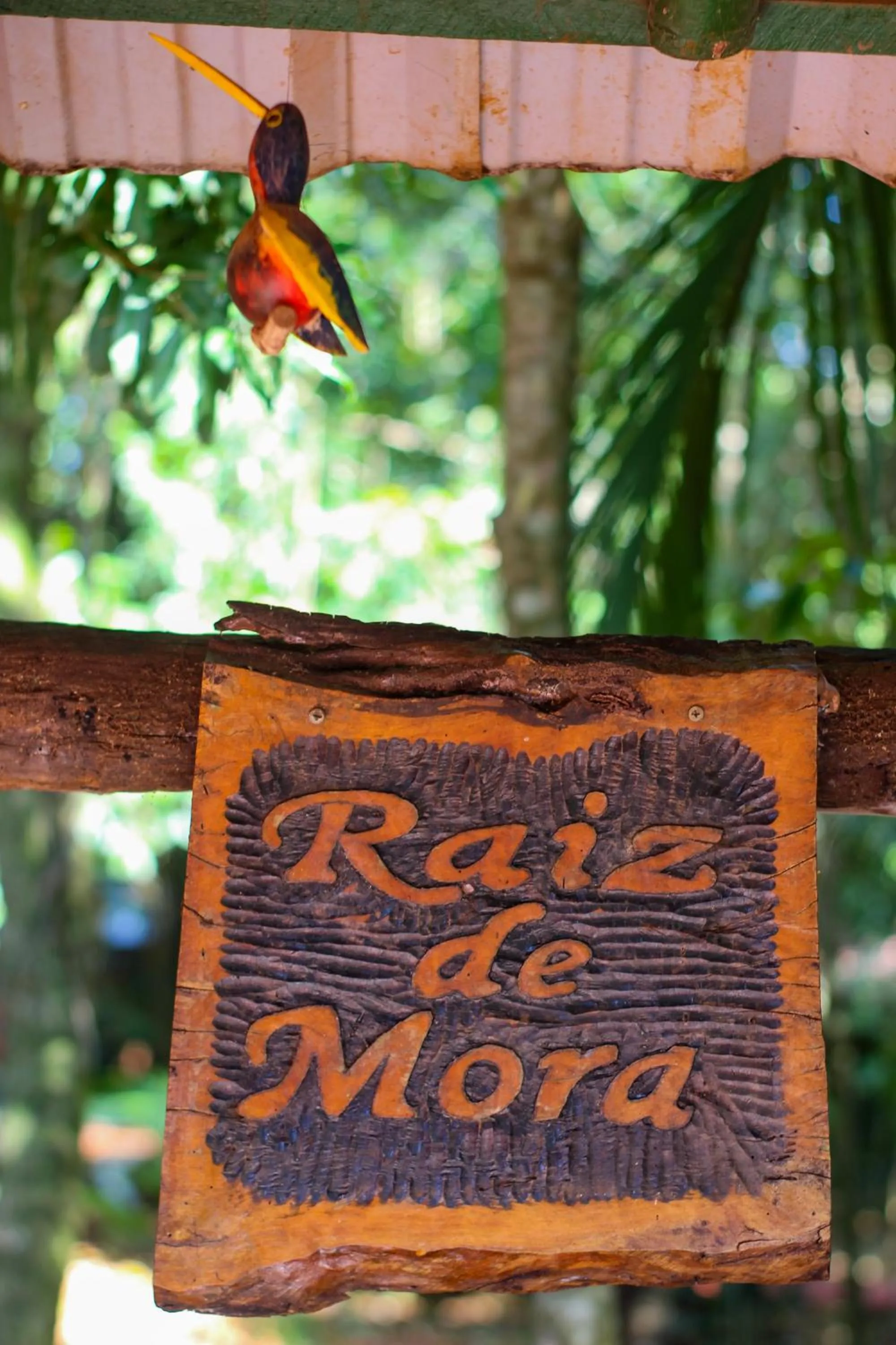 Logo/Certificate/Sign in Palo Rosa Lodge