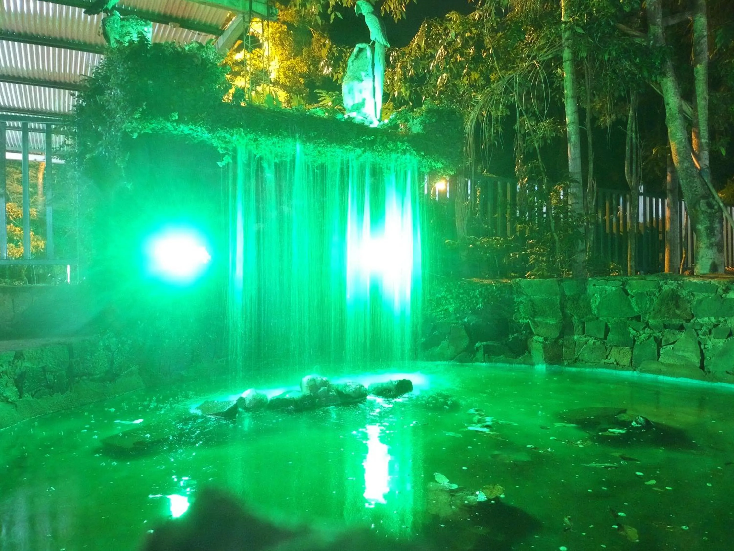 Patio in Palo Rosa Lodge