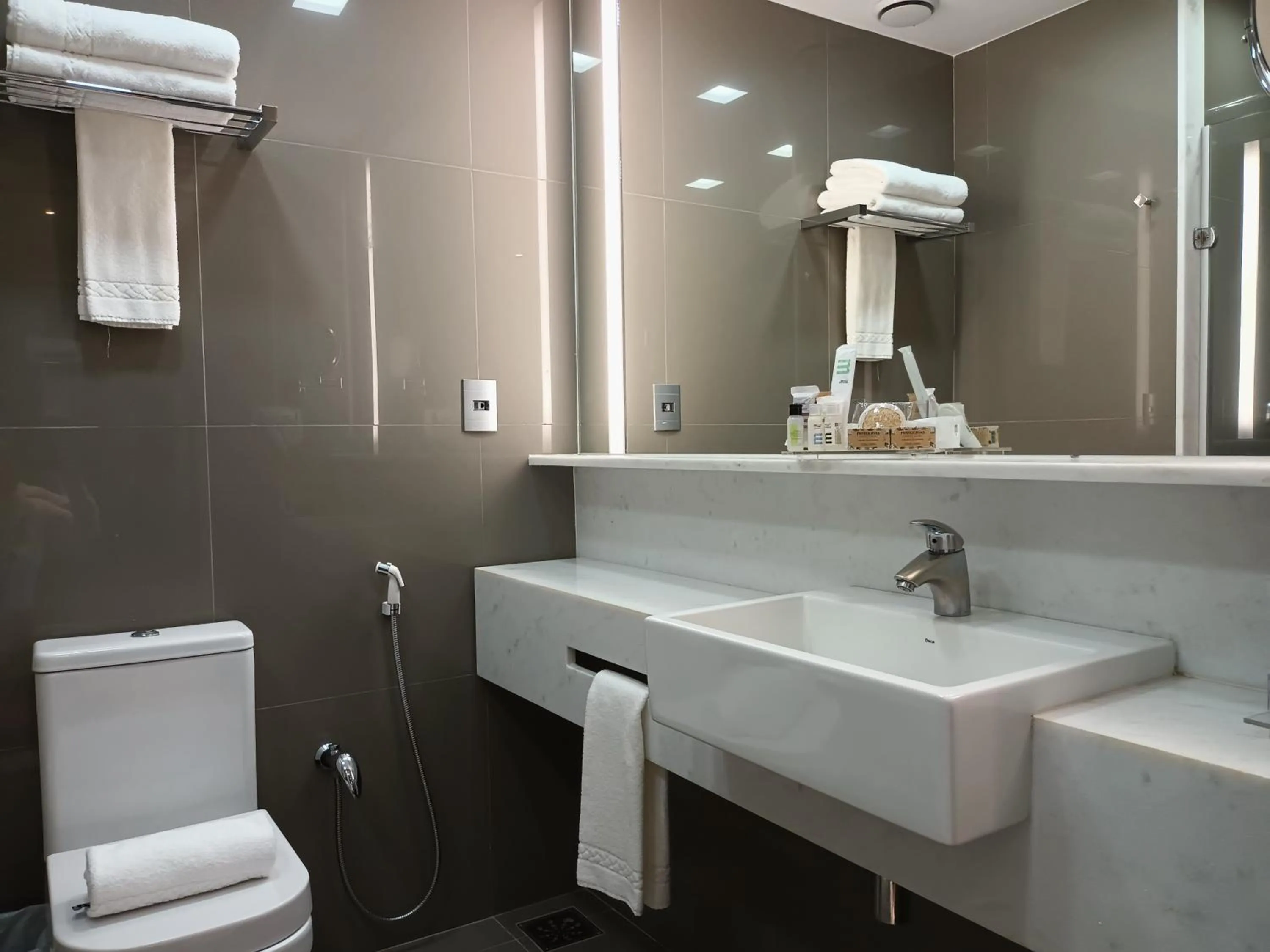 Toilet in Mercure Uberlândia Plaza Shopping