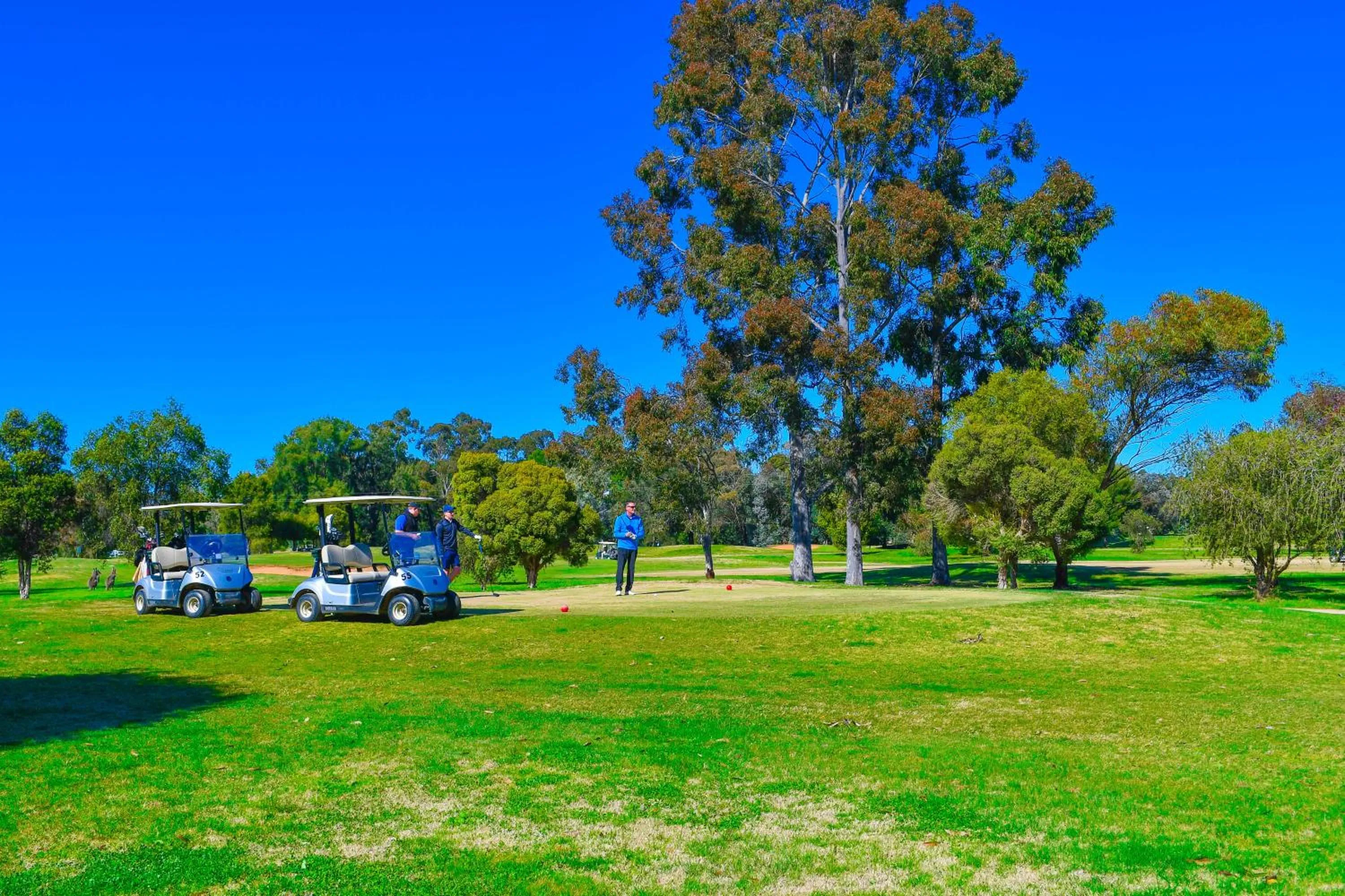 Golfcourse in Barooga Country Inn Motel