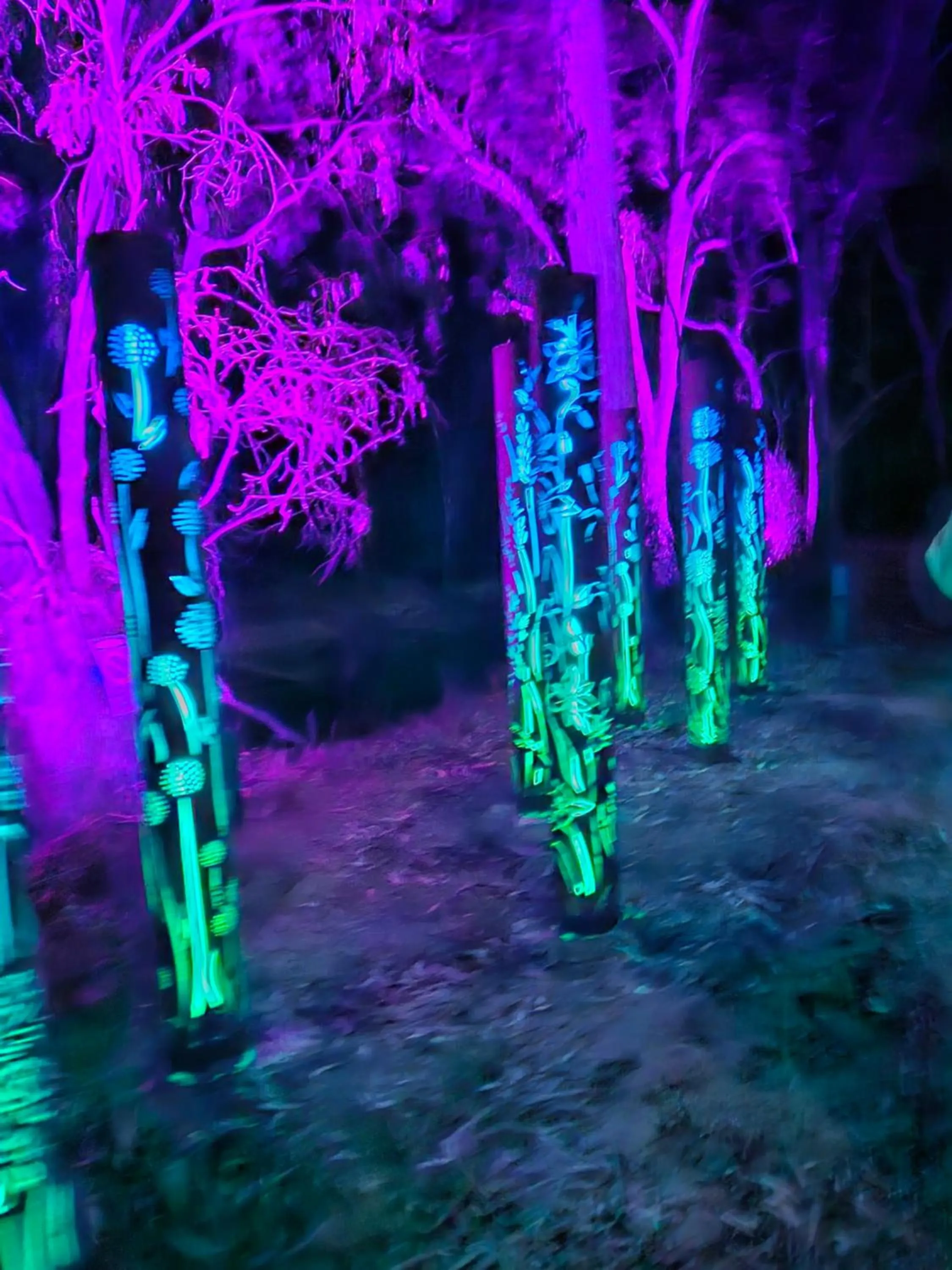 Barooga Country Inn Motel