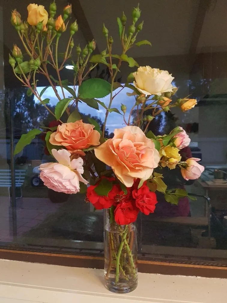 Decorative detail in Barooga Country Inn Motel