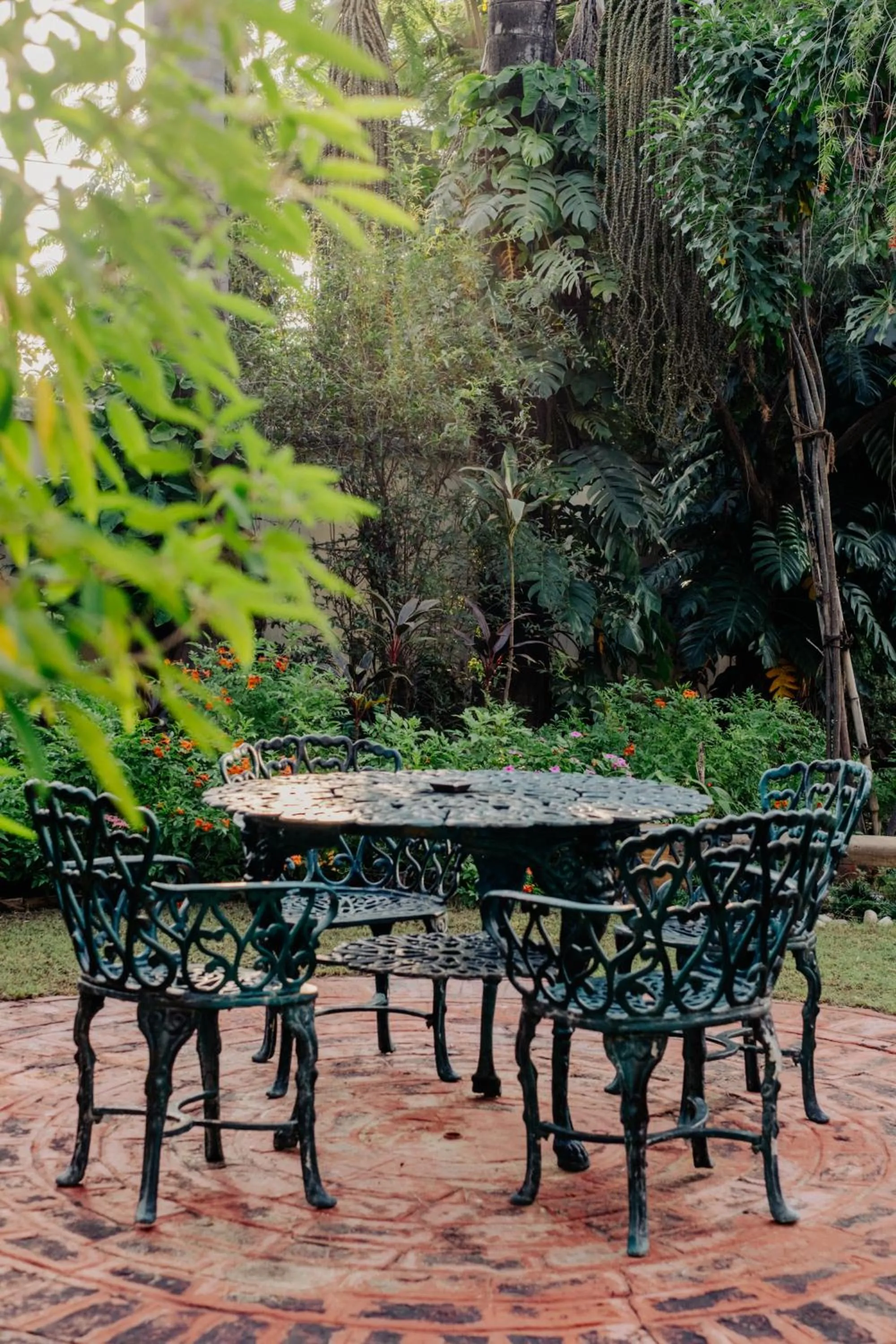 Garden in Barwara Kothi