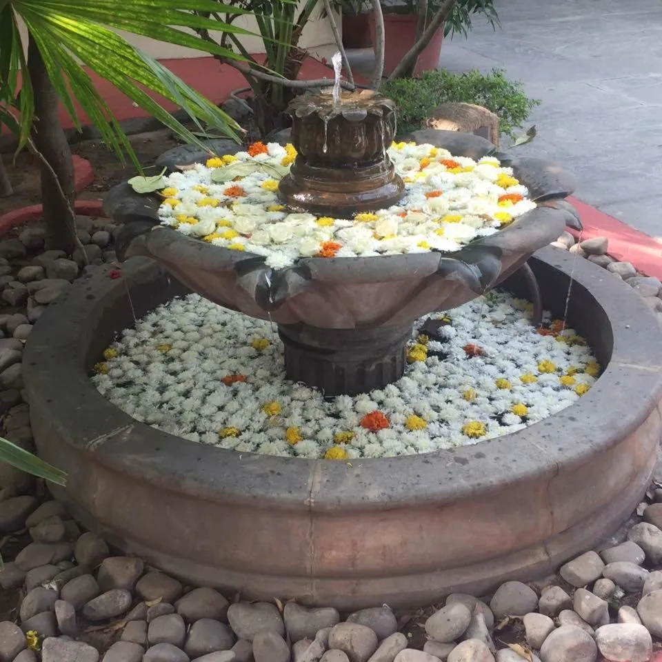 Garden in Barwara Kothi